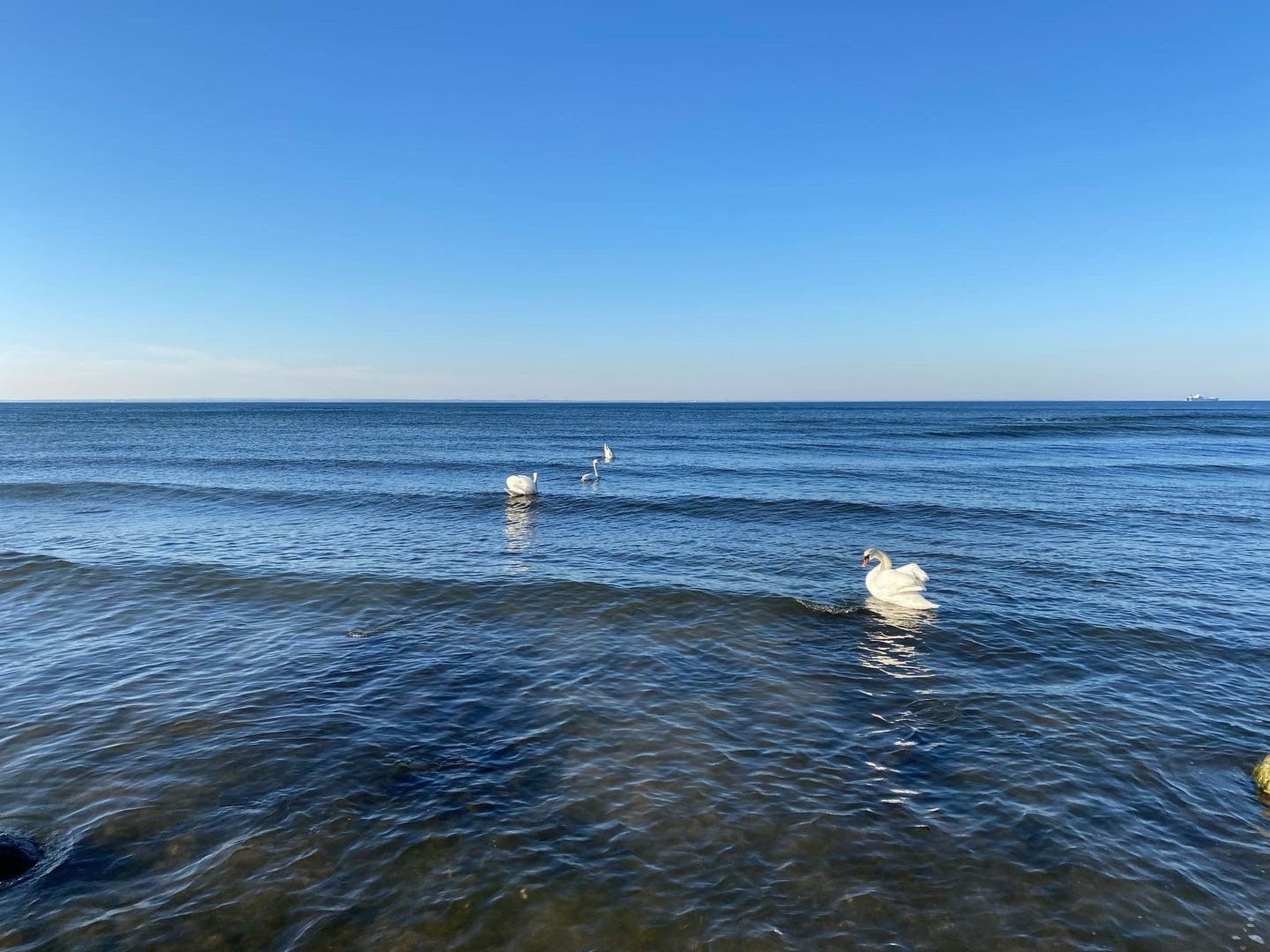 Reethus Linda am Schloß Groß Schwansee-Image-tags.info