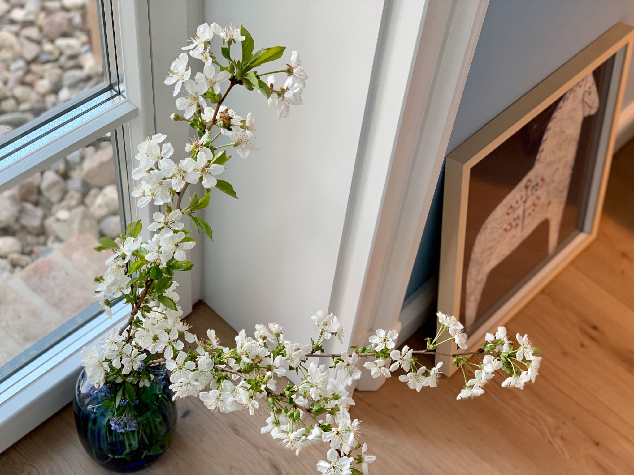 Reethus Linda am Schloß Groß Schwansee-Image-tags.info