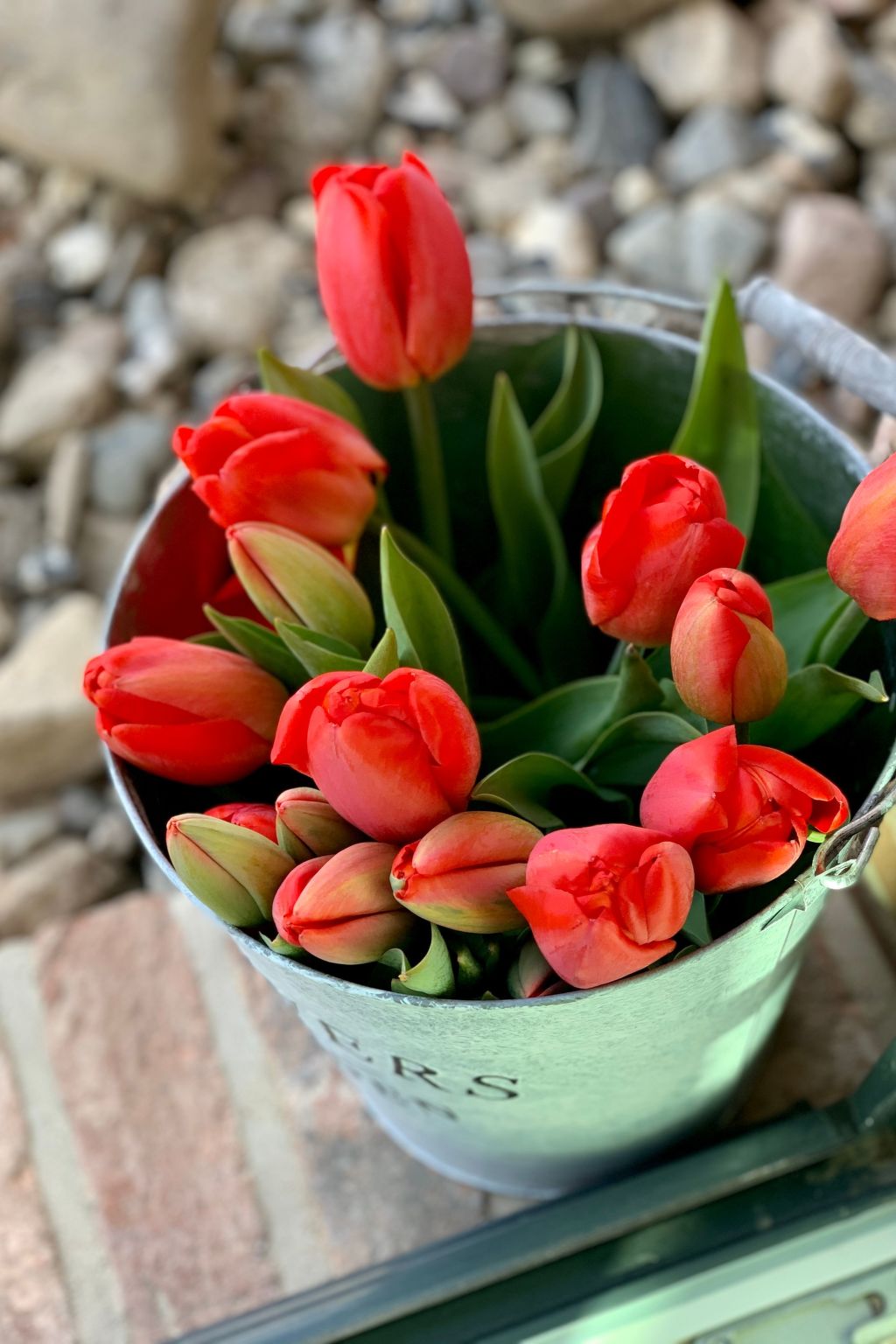 Reethus Linda am Schloß Groß Schwansee-Image-tags.info