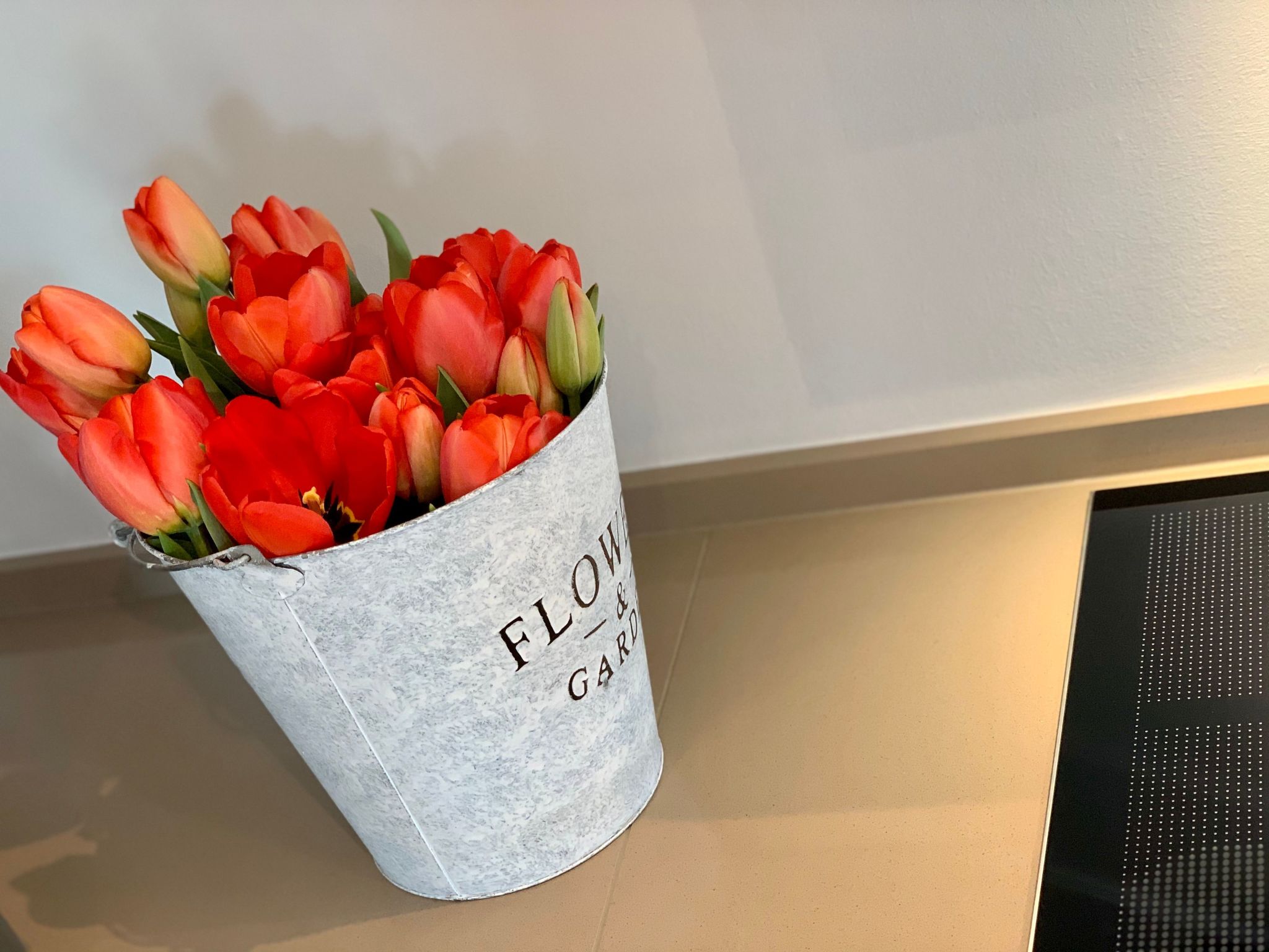 Reethus Linda am Schloß Groß Schwansee-Image-tags.info