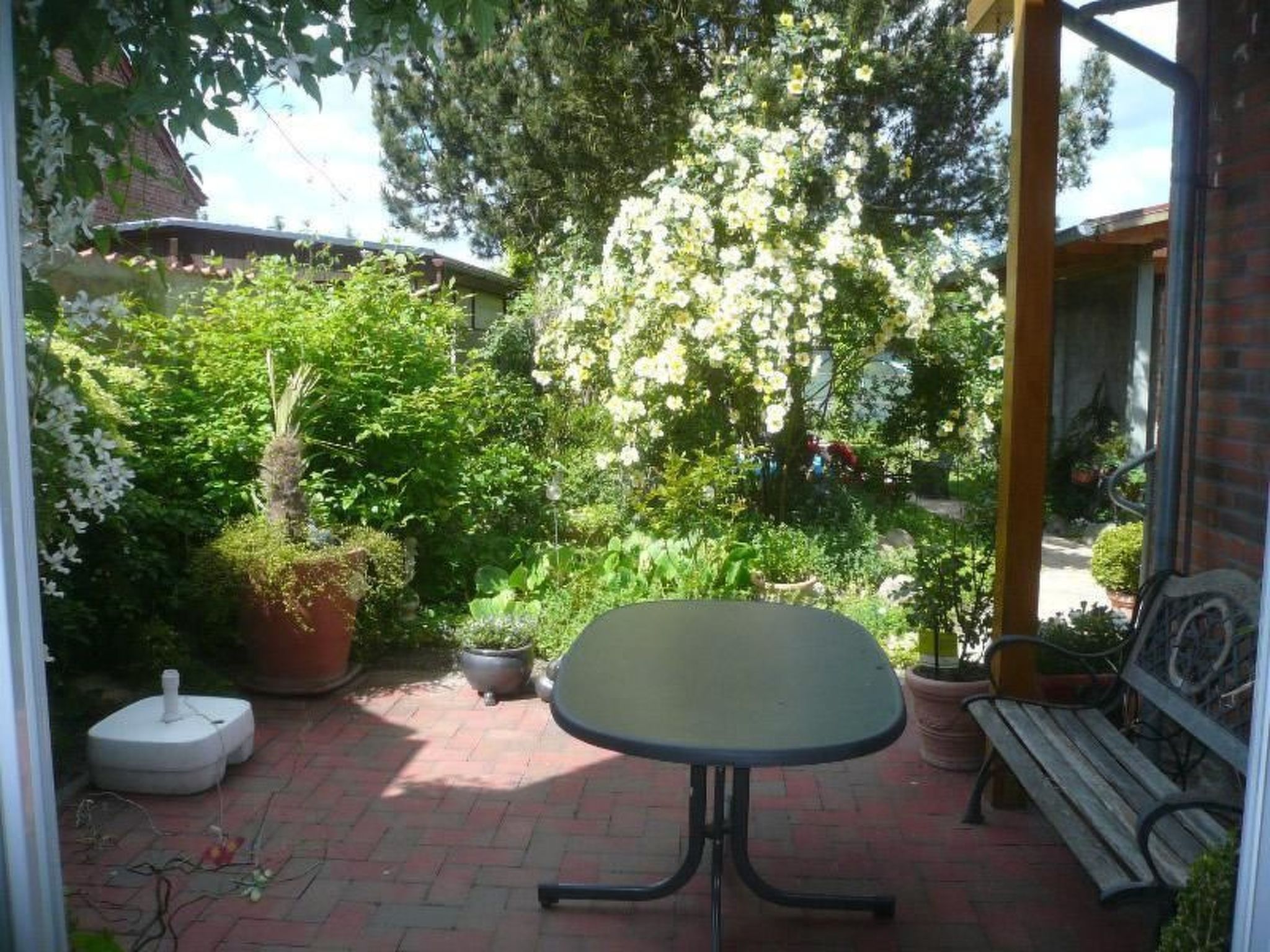 Charmante Wohnung in Dassow mit Terrasse und Grill-Binnen