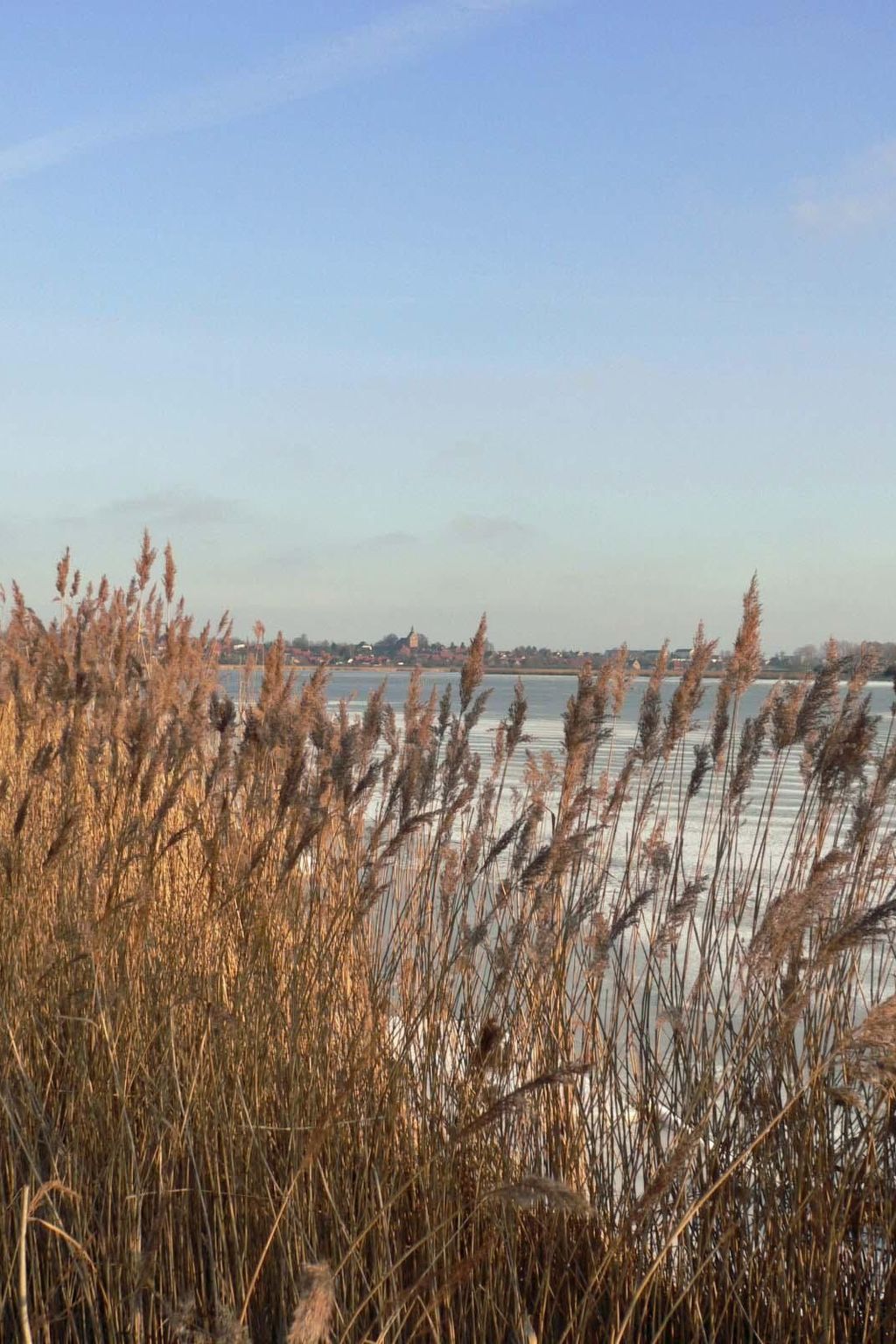 Studio am Rande eines Naturschutzgebietes-Binnen