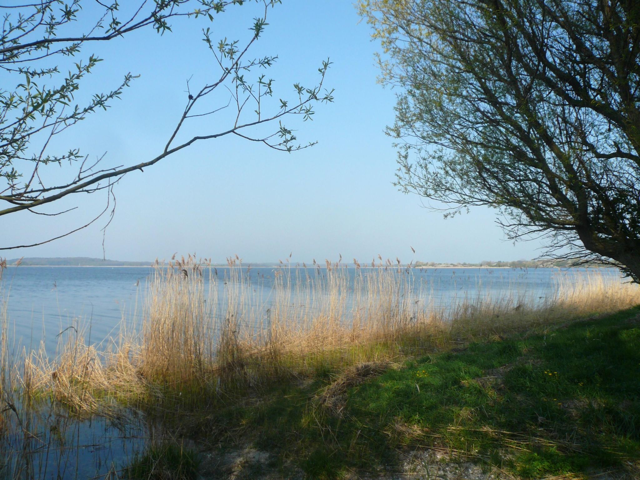 Studio am Rande eines Naturschutzgebietes-Binnen