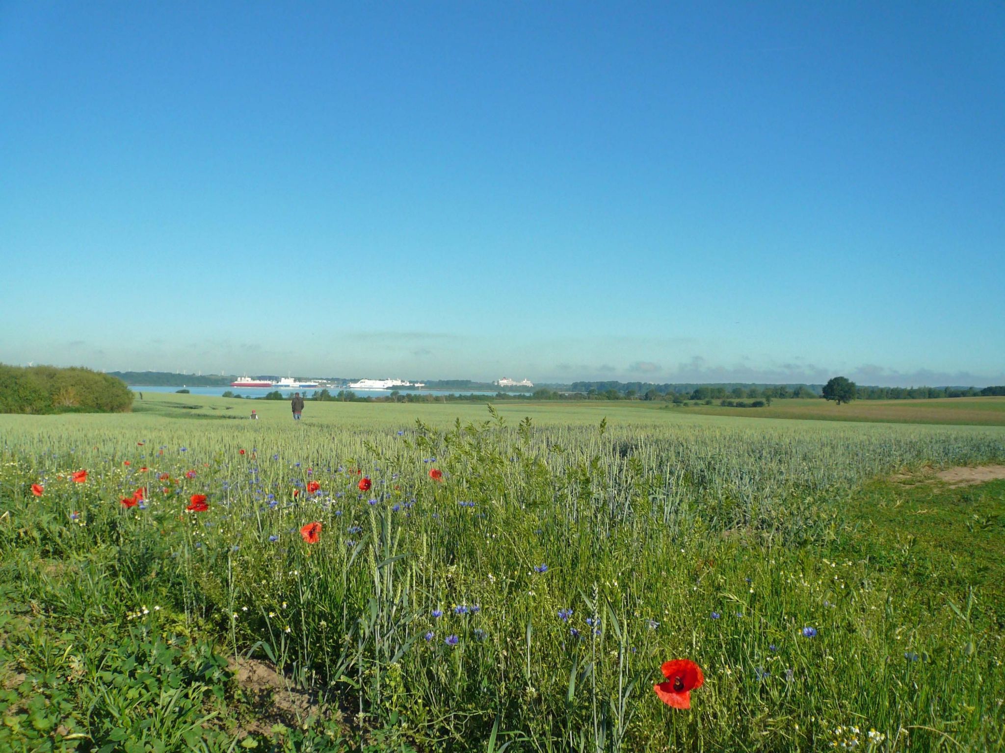 Studio am Rande eines Naturschutzgebietes-Binnen