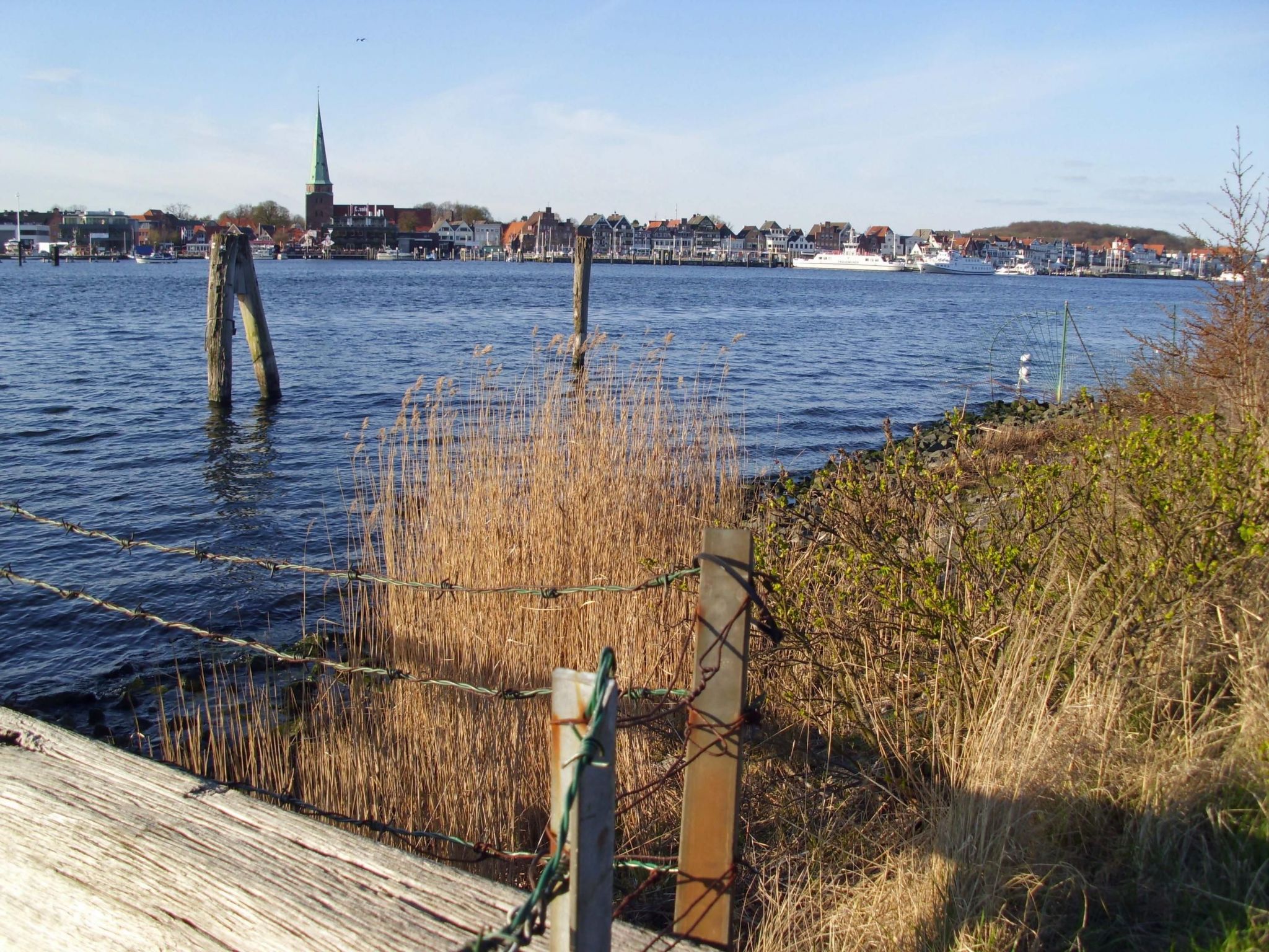 Studio am Rande eines Naturschutzgebietes-Binnen