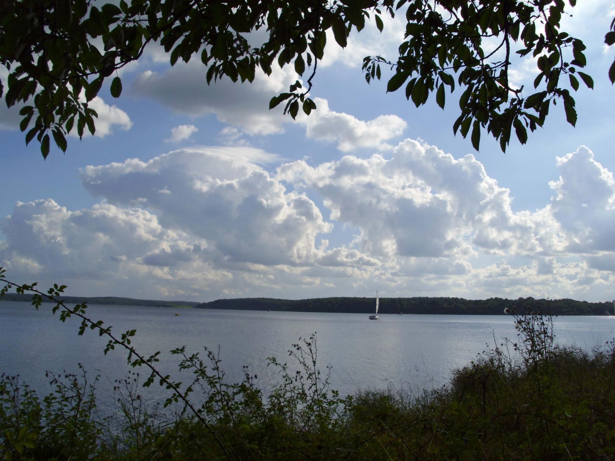 Studio am Rande eines Naturschutzgebietes-Binnen