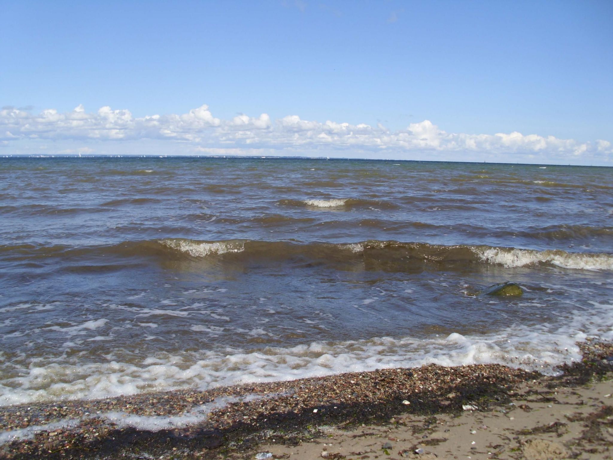 Studio am Rande eines Naturschutzgebietes