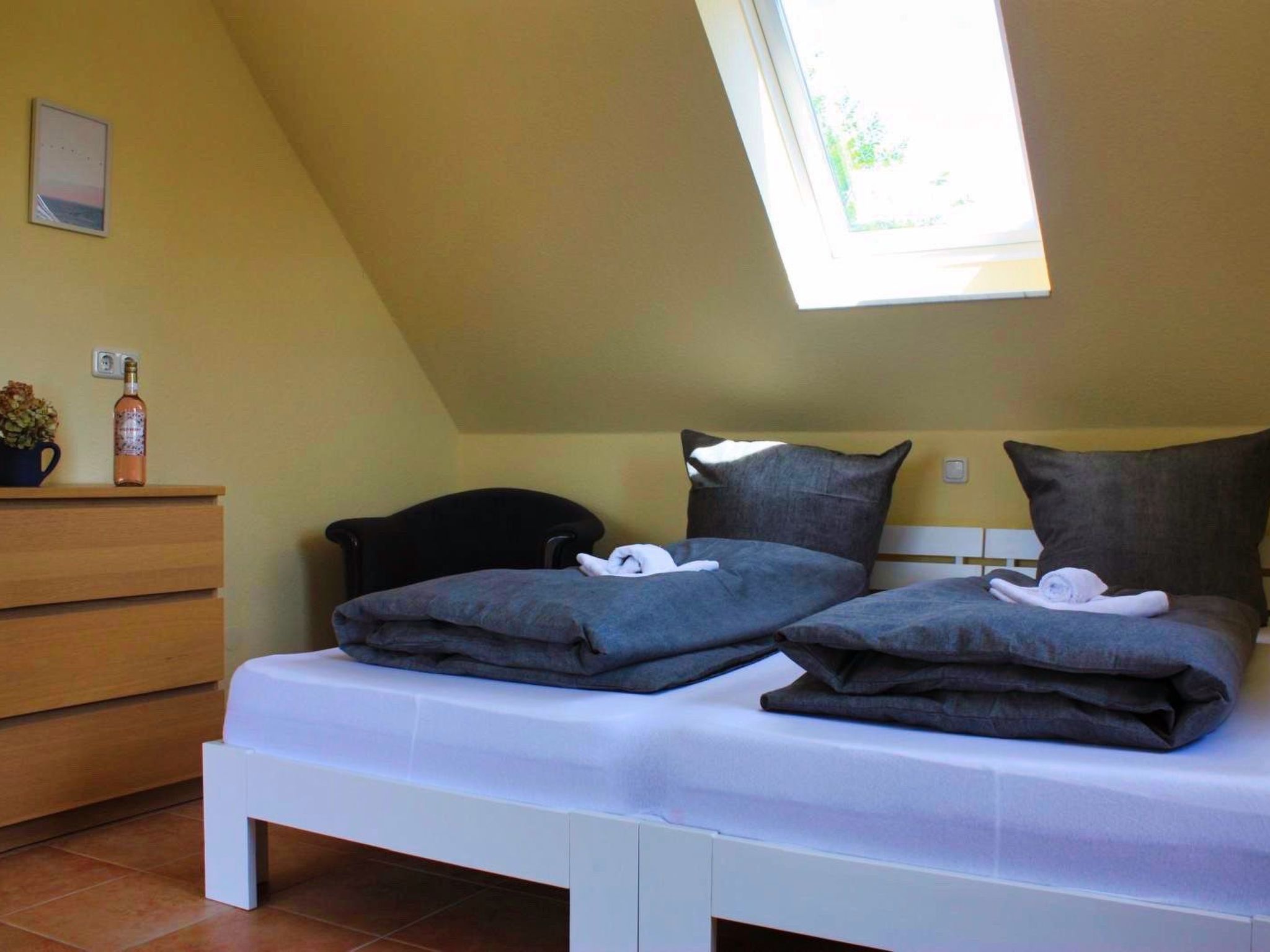 Sandregenpfeifer-Image-tags.info