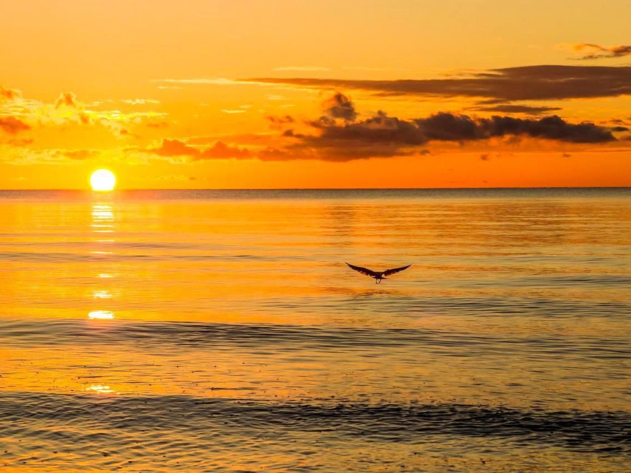 Villa DUXCAAR-Binnen