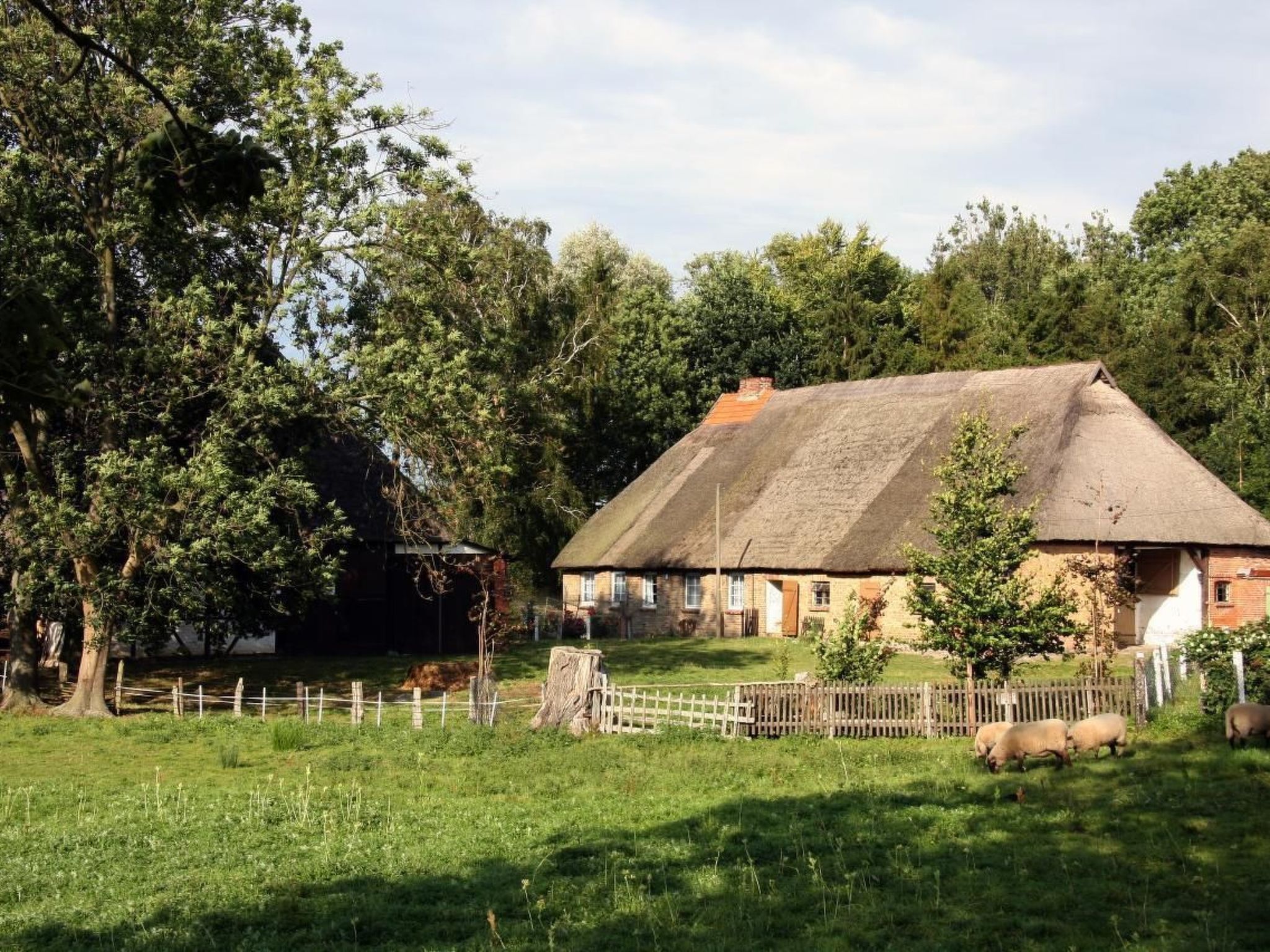 Villa DUXCAAR-Binnen