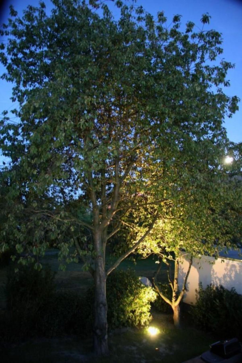 In Groß Schwansee mit Offenem Kamin-Binnen