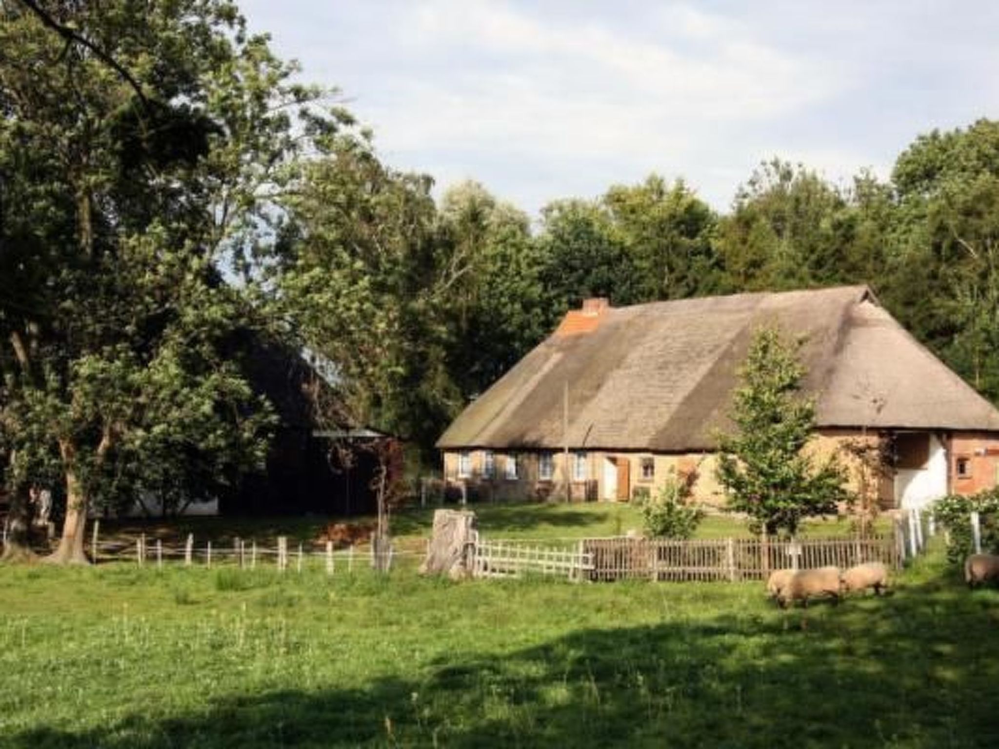 In Groß Schwansee mit Offenem Kamin-Binnen