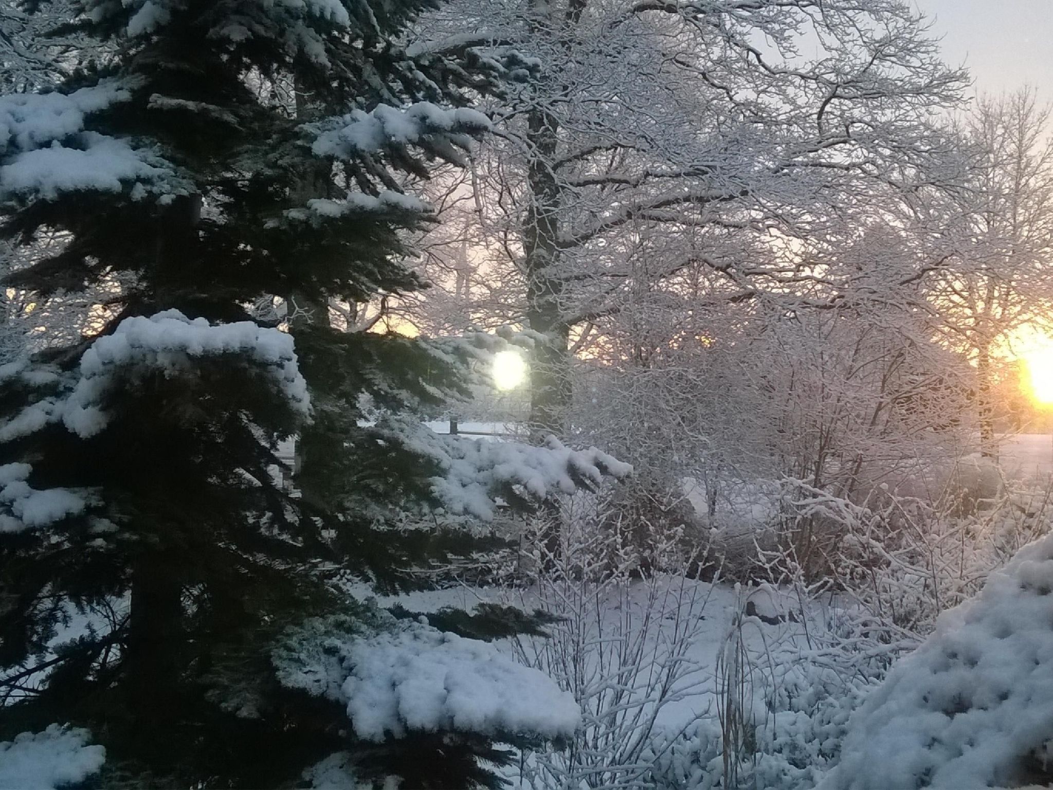 Zentrale Ferienwohnung mit Terrasse
