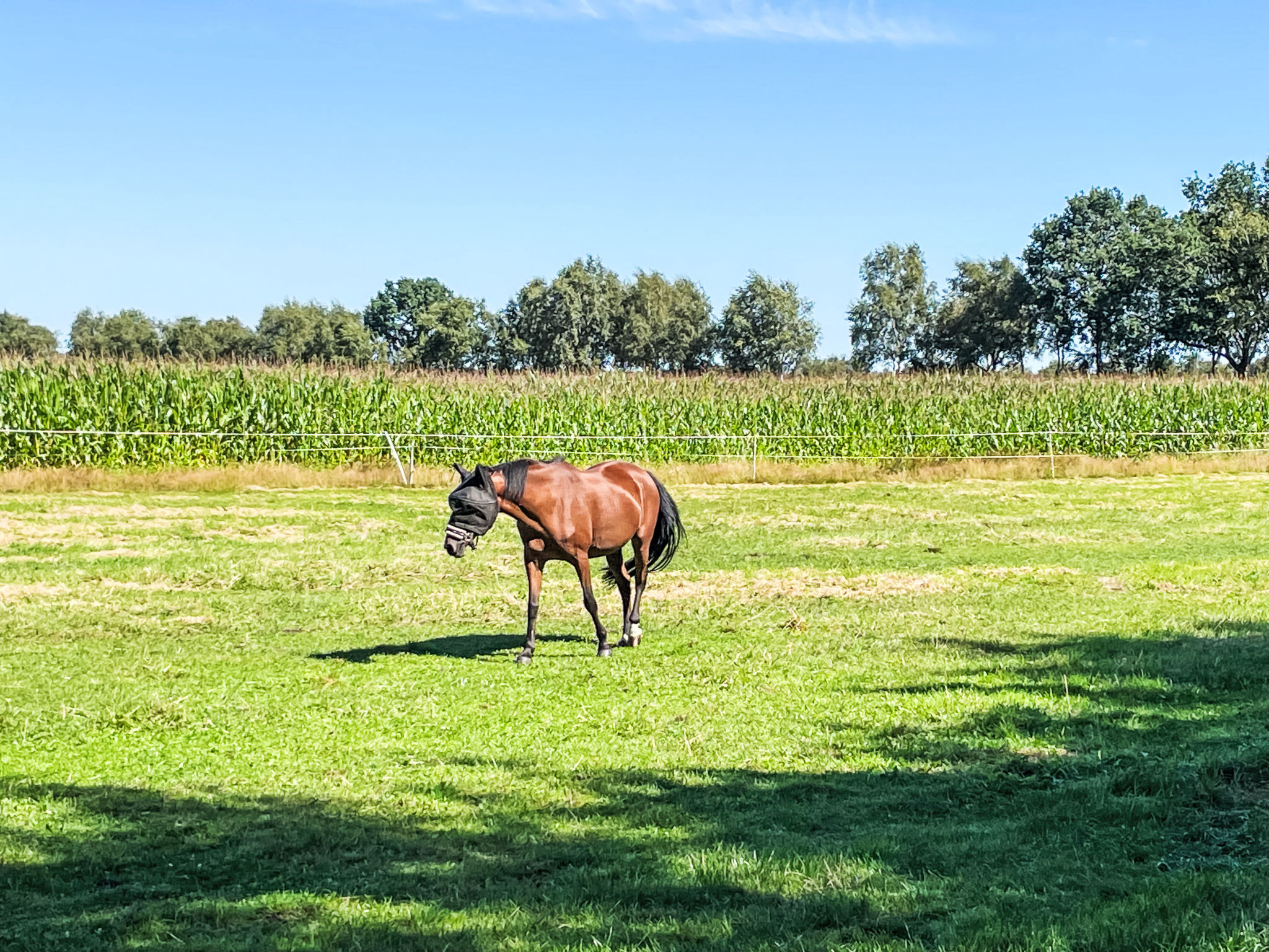 Naturblick-Buiten