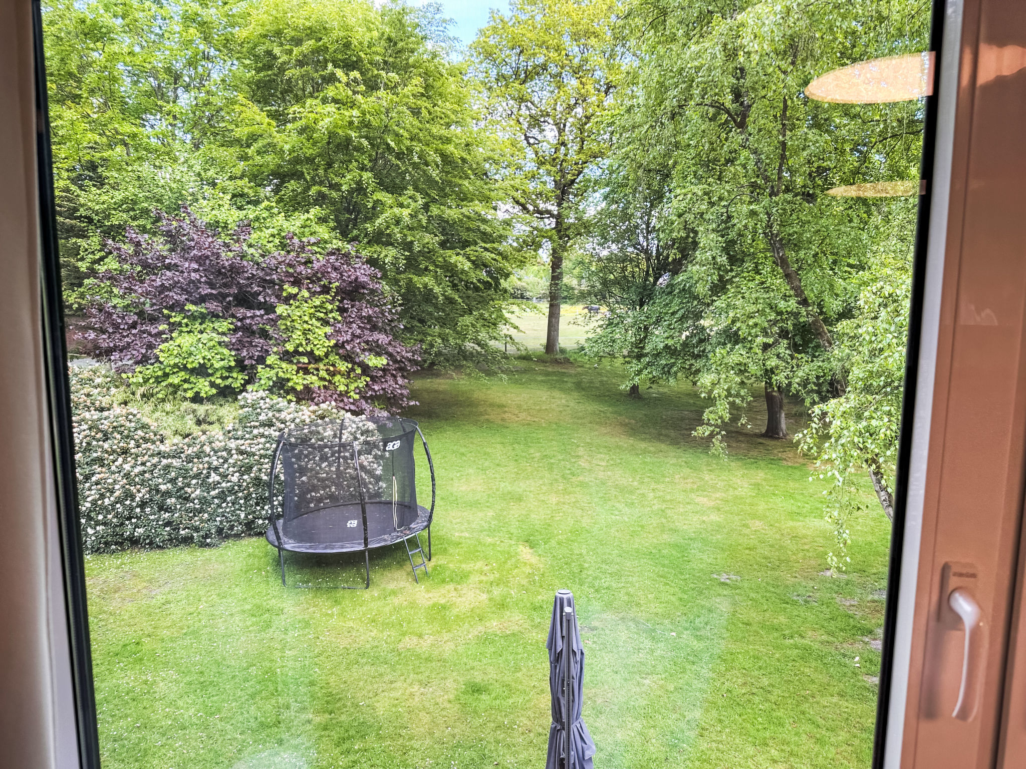 The OAK SUITE - Outside