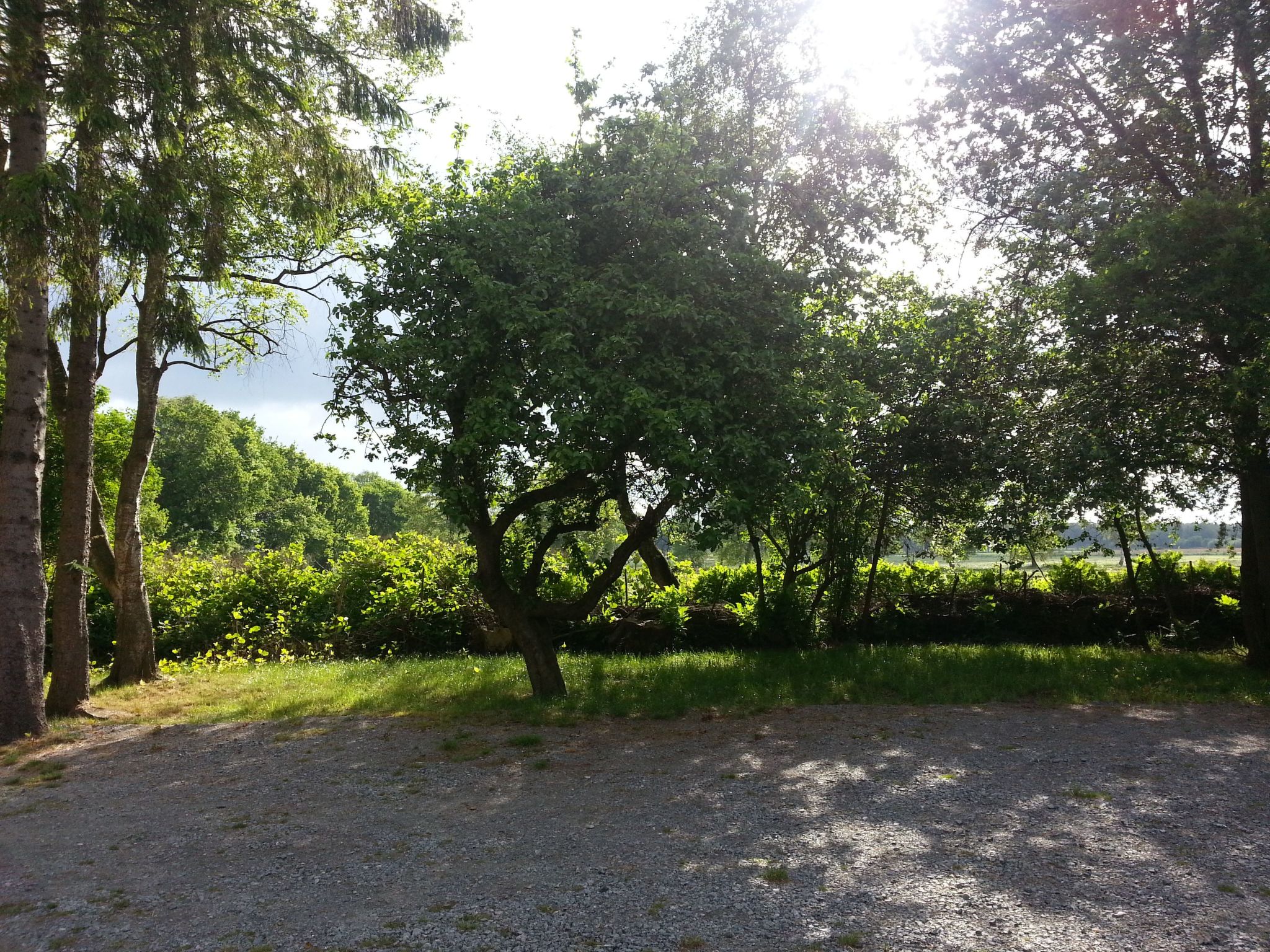 Wohnstudio für maximal vier Personen-Image-tags.info