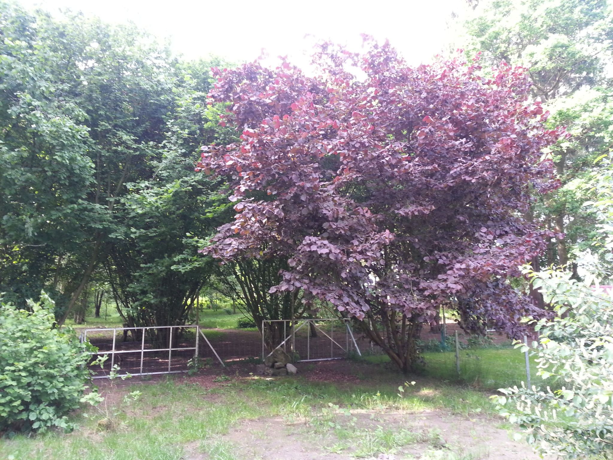 Wohnstudio für maximal vier Personen-Image-tags.info