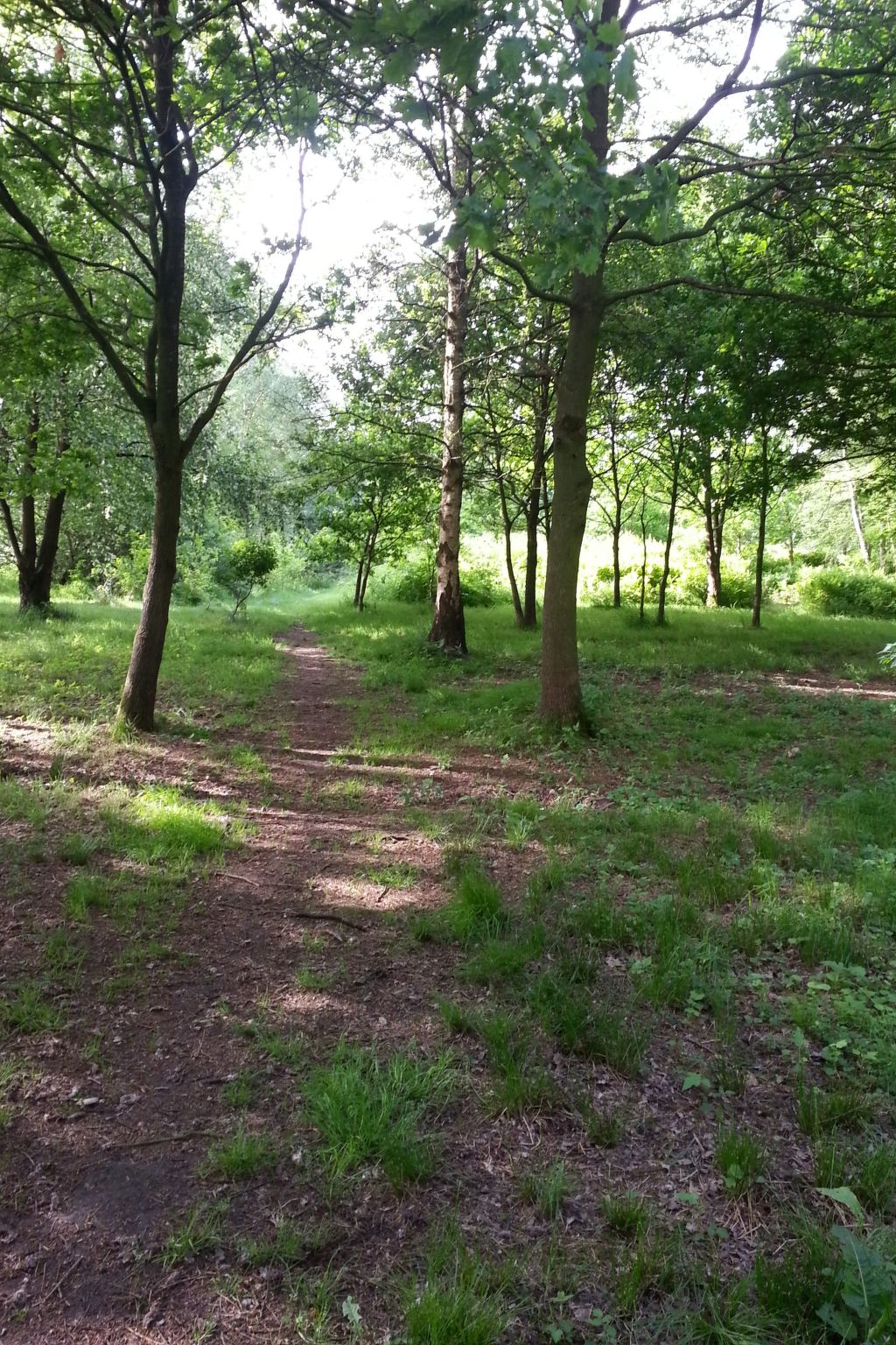 Wohnstudio für maximal vier Personen-Image-tags.info