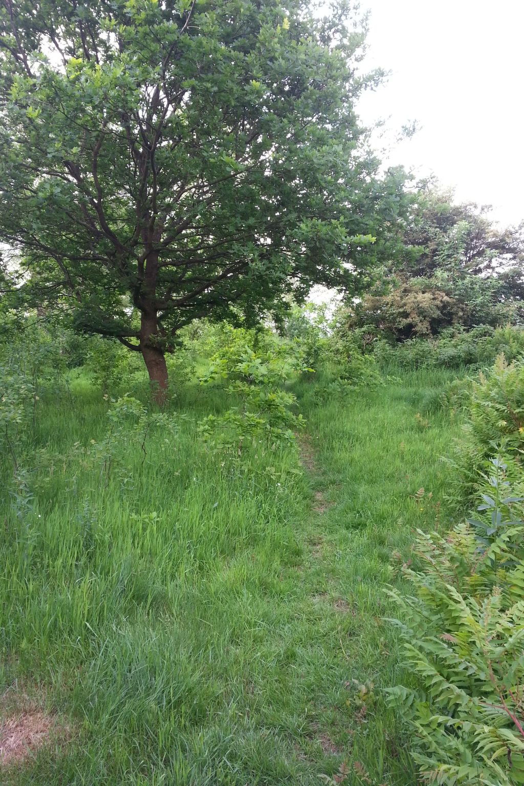 Wohnstudio für maximal vier Personen-Image-tags.info