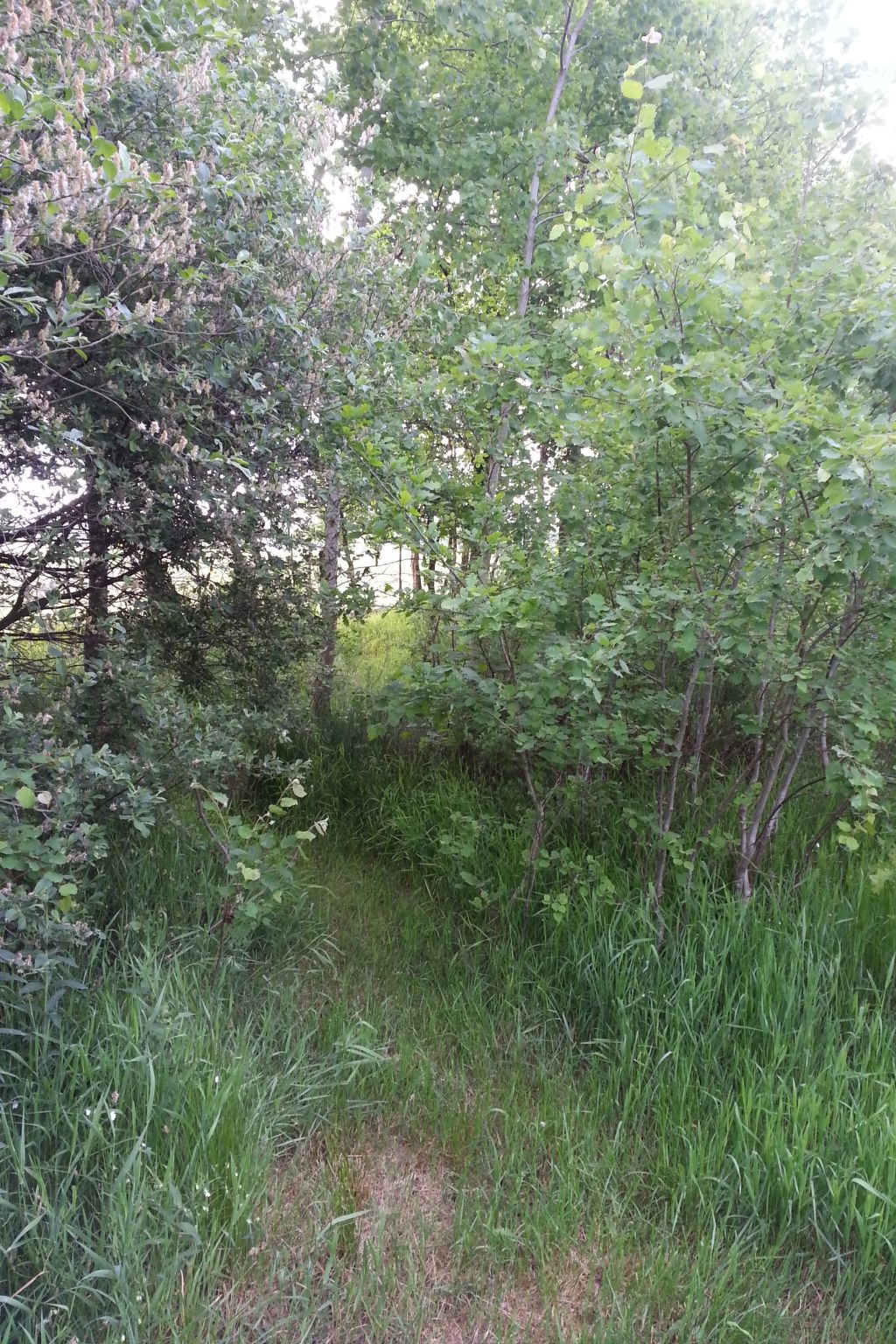 Wohnstudio für maximal vier Personen-Image-tags.info