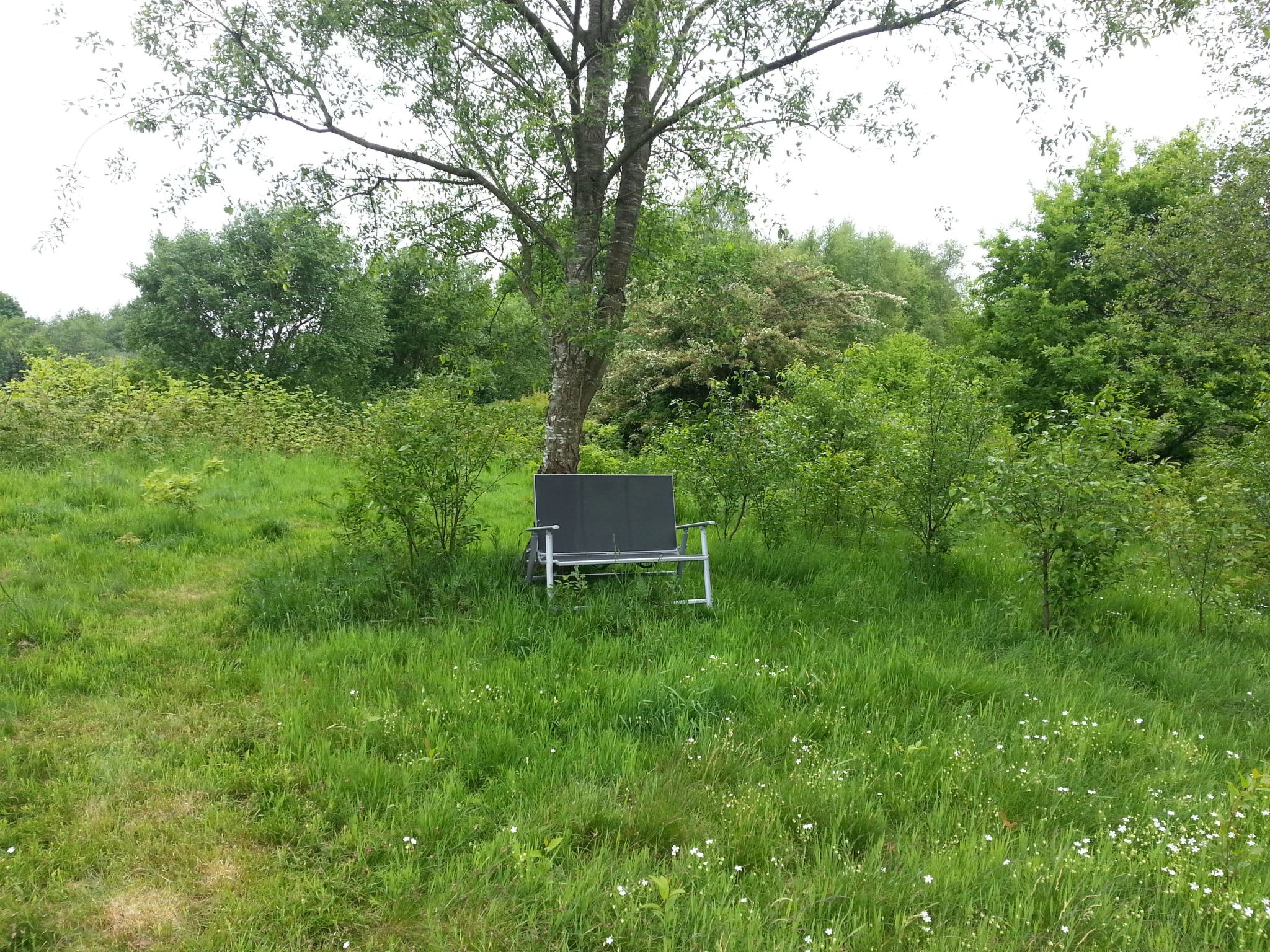 Wohnstudio für maximal vier Personen-Image-tags.info