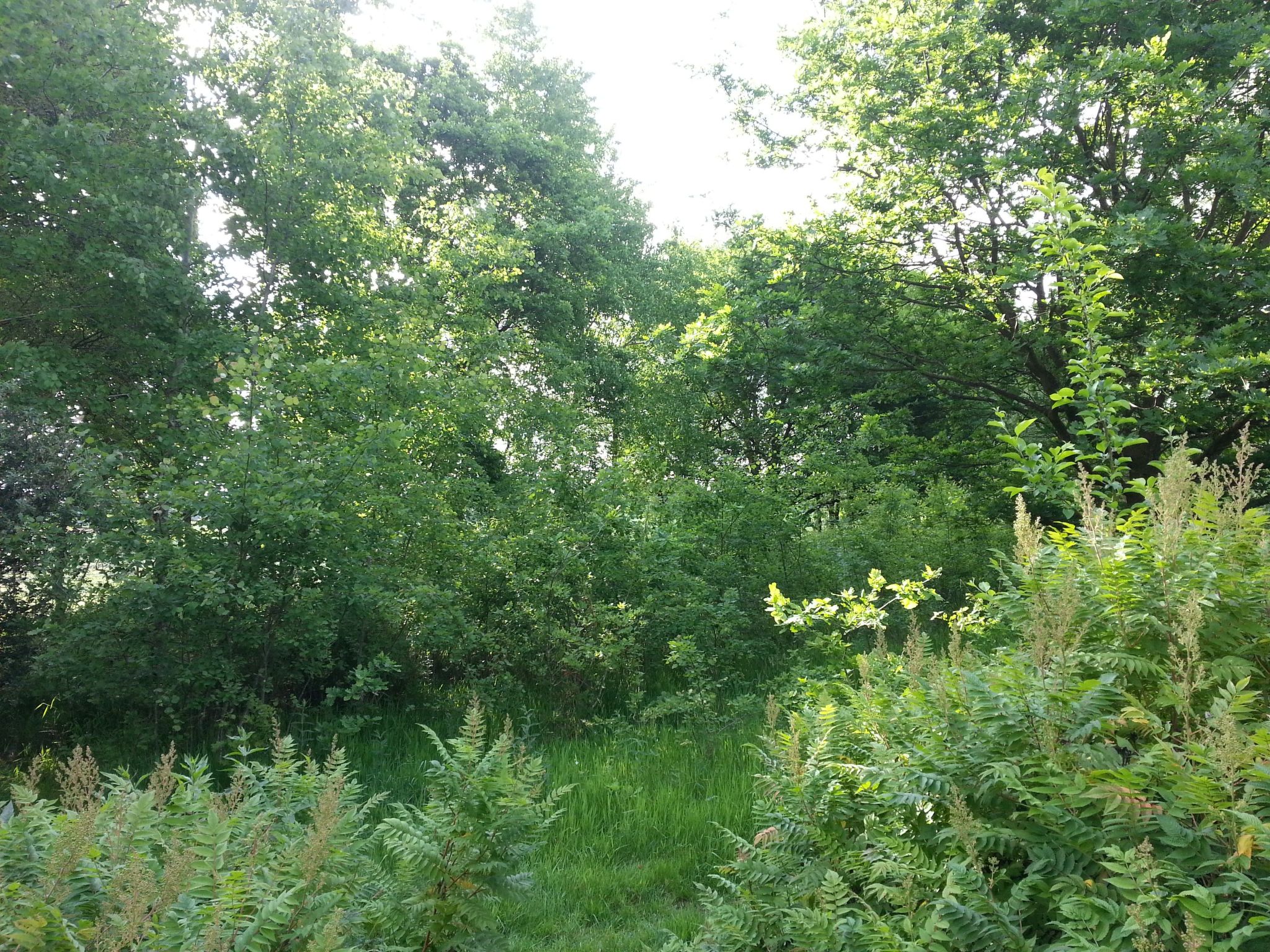 Wohnstudio für maximal vier Personen-Image-tags.info