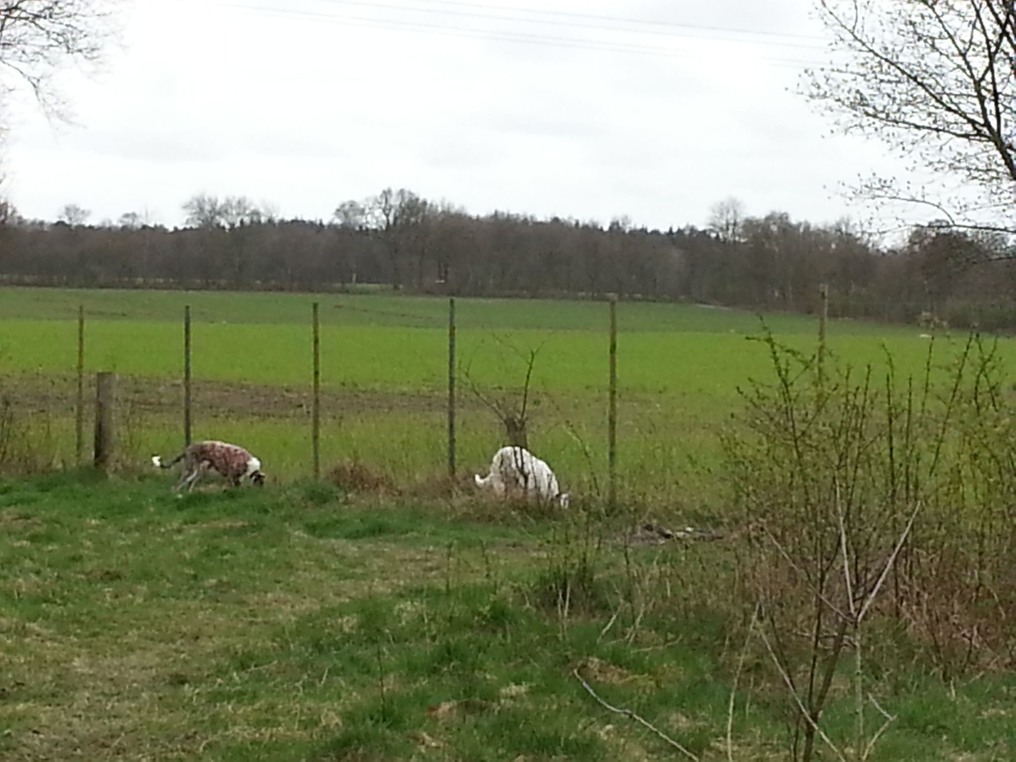 In Bad Bederkesa mit Garten-Image-tags.info