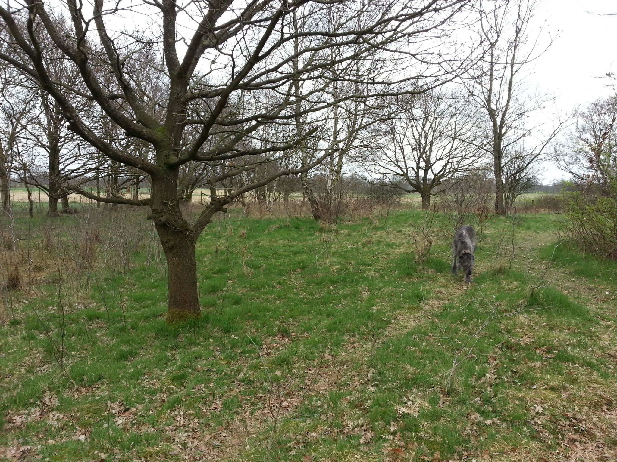 In Bad Bederkesa mit Garten-Image-tags.info