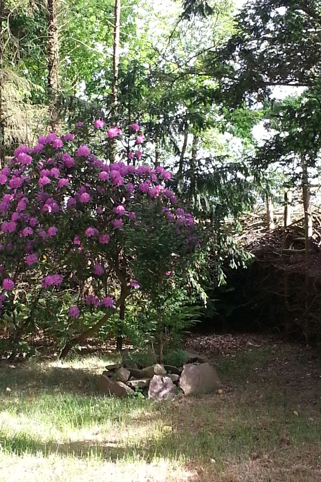 In Bad Bederkesa mit Garten-Image-tags.info