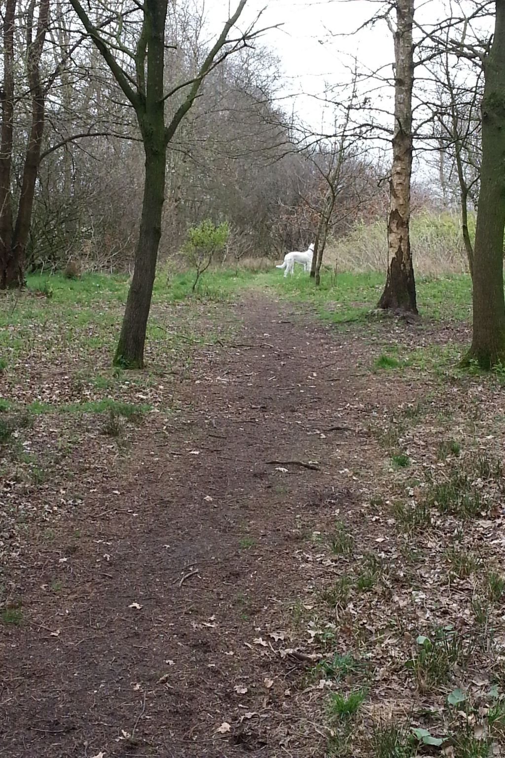 In Bad Bederkesa mit Garten-Image-tags.info