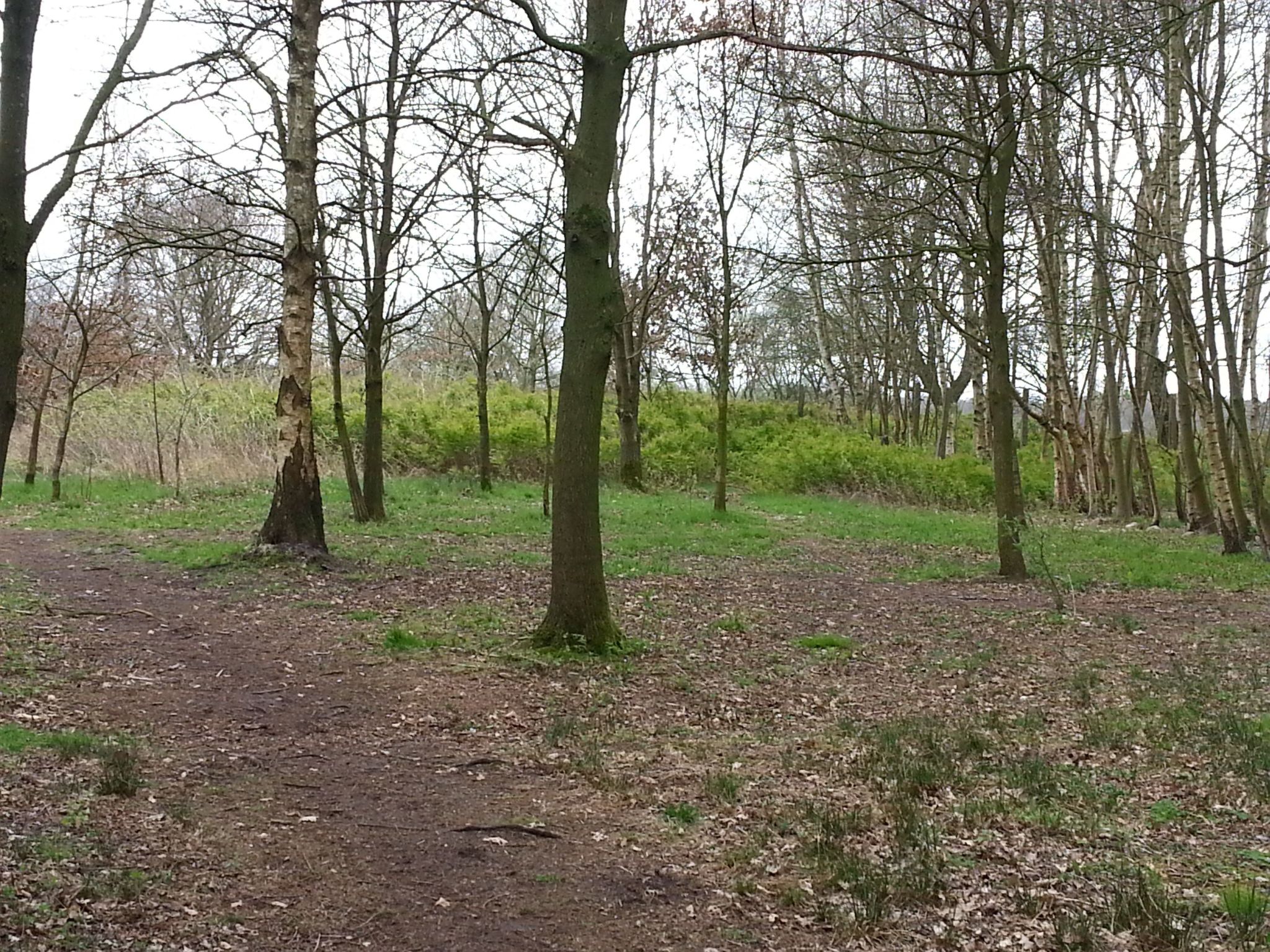 In Bad Bederkesa mit Garten-Image-tags.info