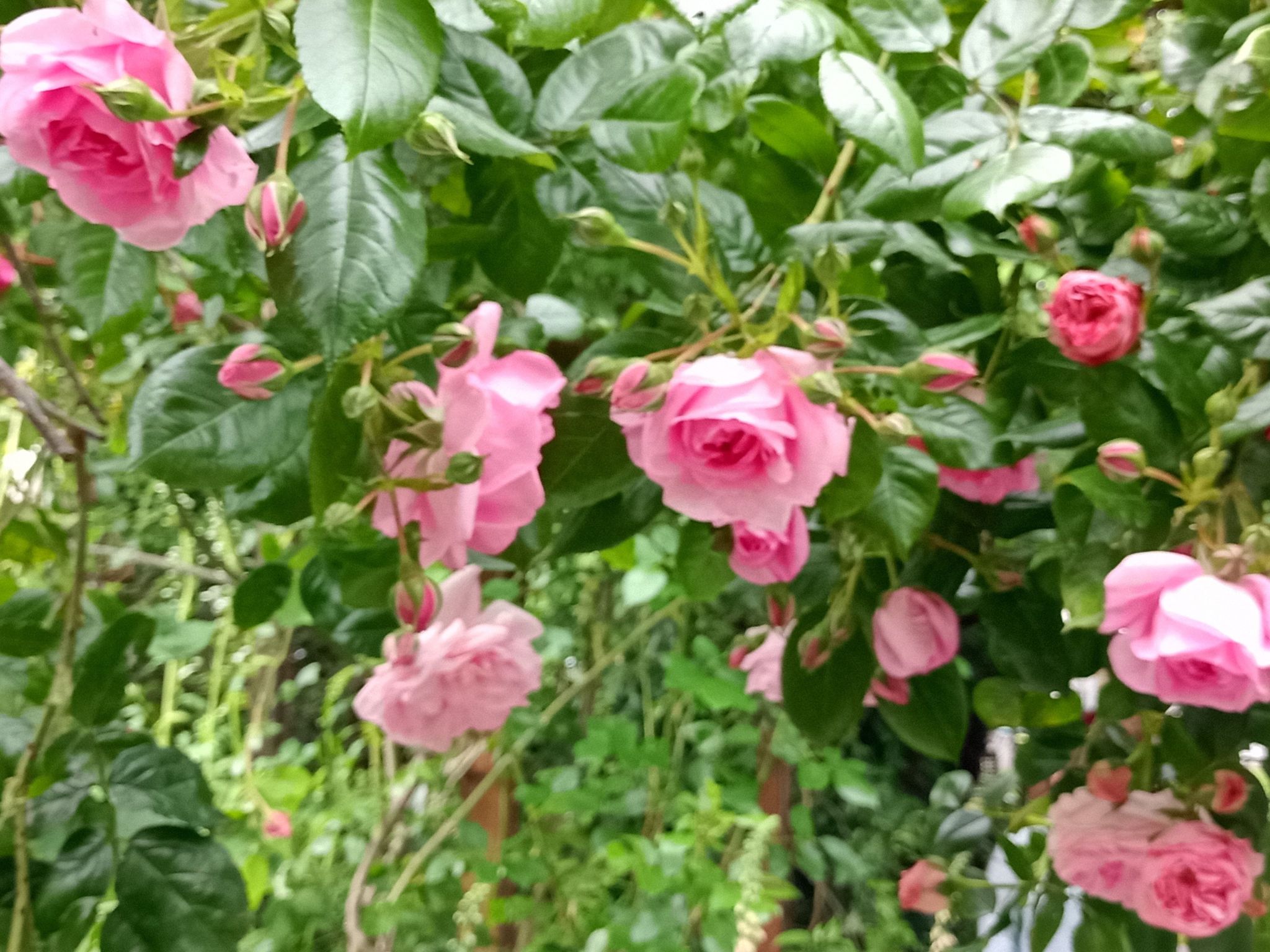 Moderne Ferienwohnung in Dorumer Neufeld