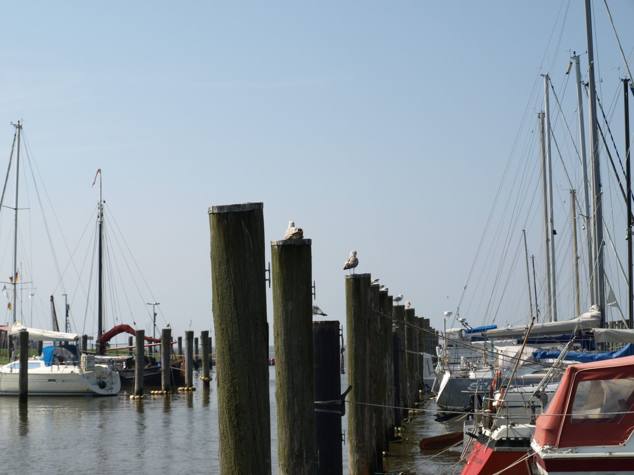 Mit Terrasse, Grill und Garten-Drinnen