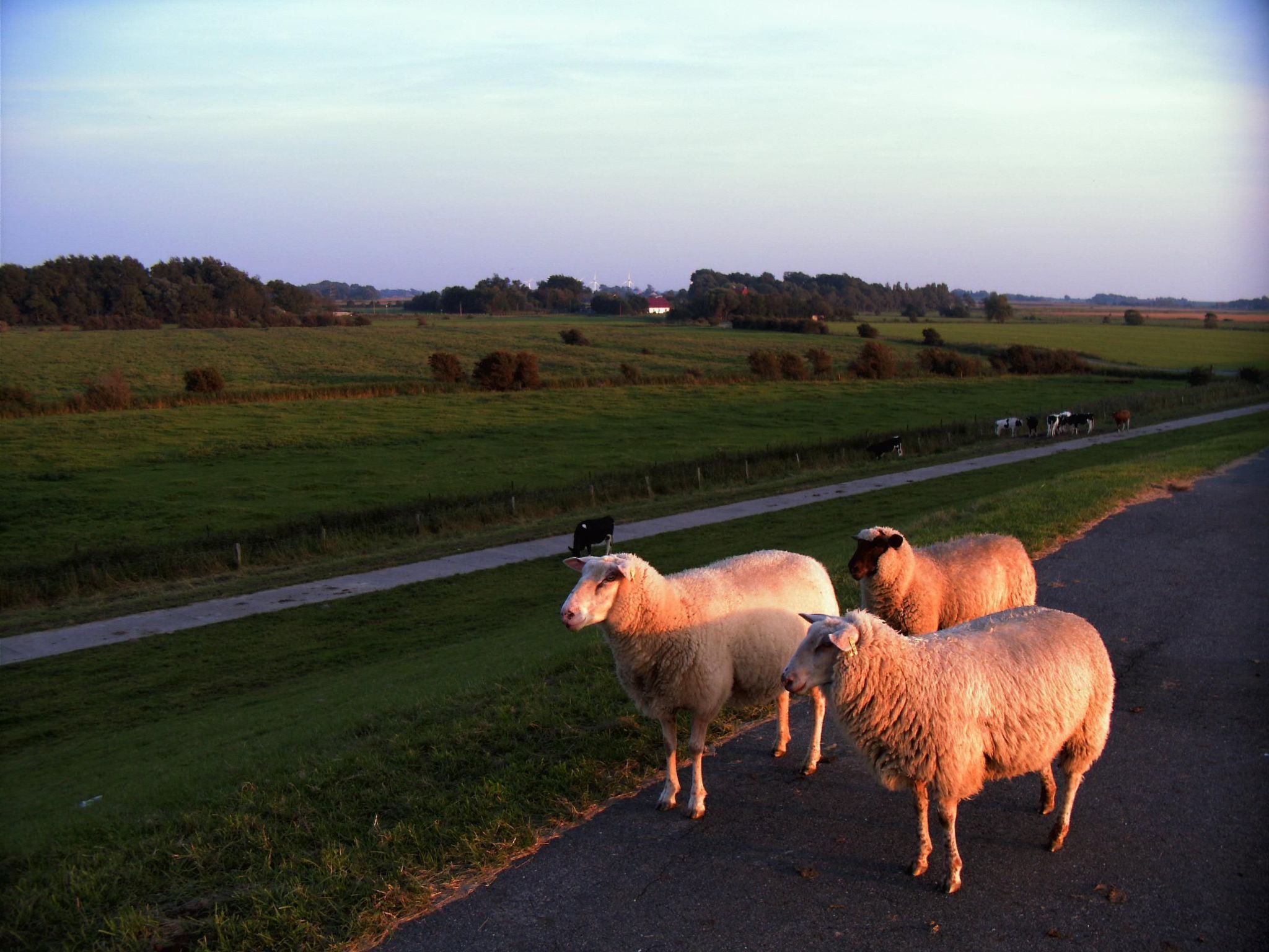 Komfortable Ferienwohnung mit großem Garten-Dedans