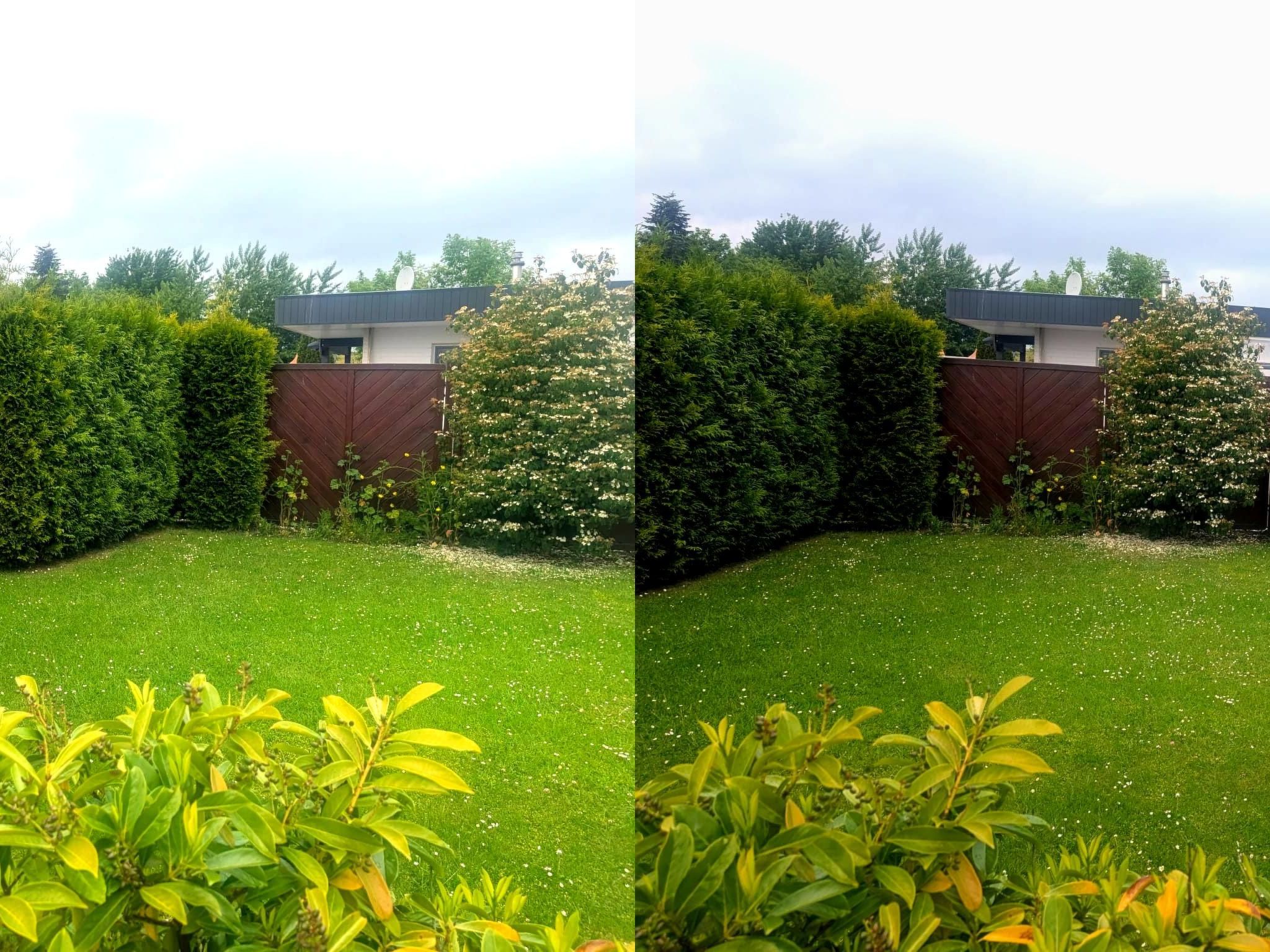 LouJa-Image-tags.info