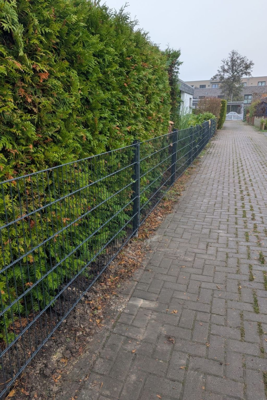 LouJa-Image-tags.info