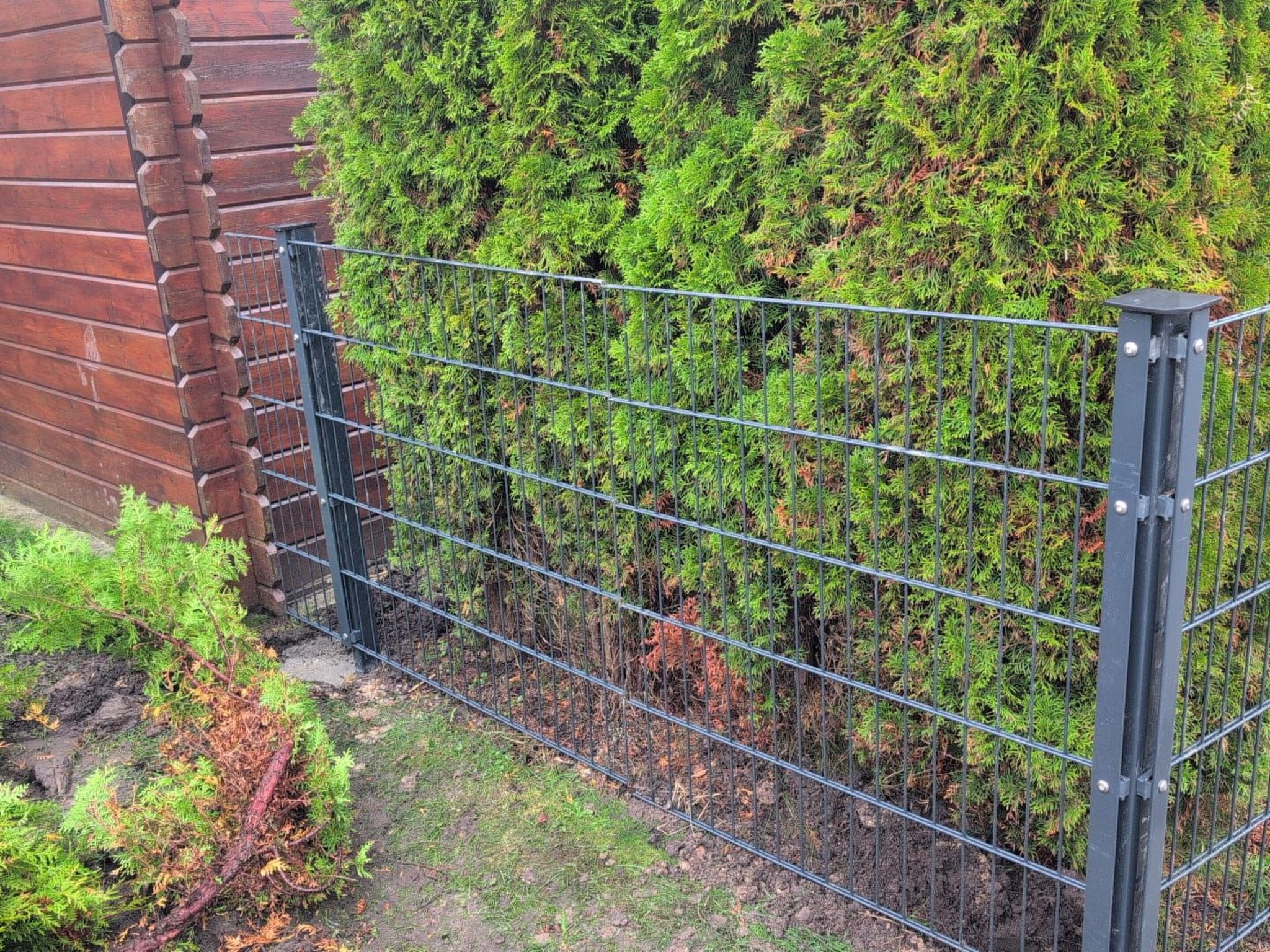 LouJa-Image-tags.info