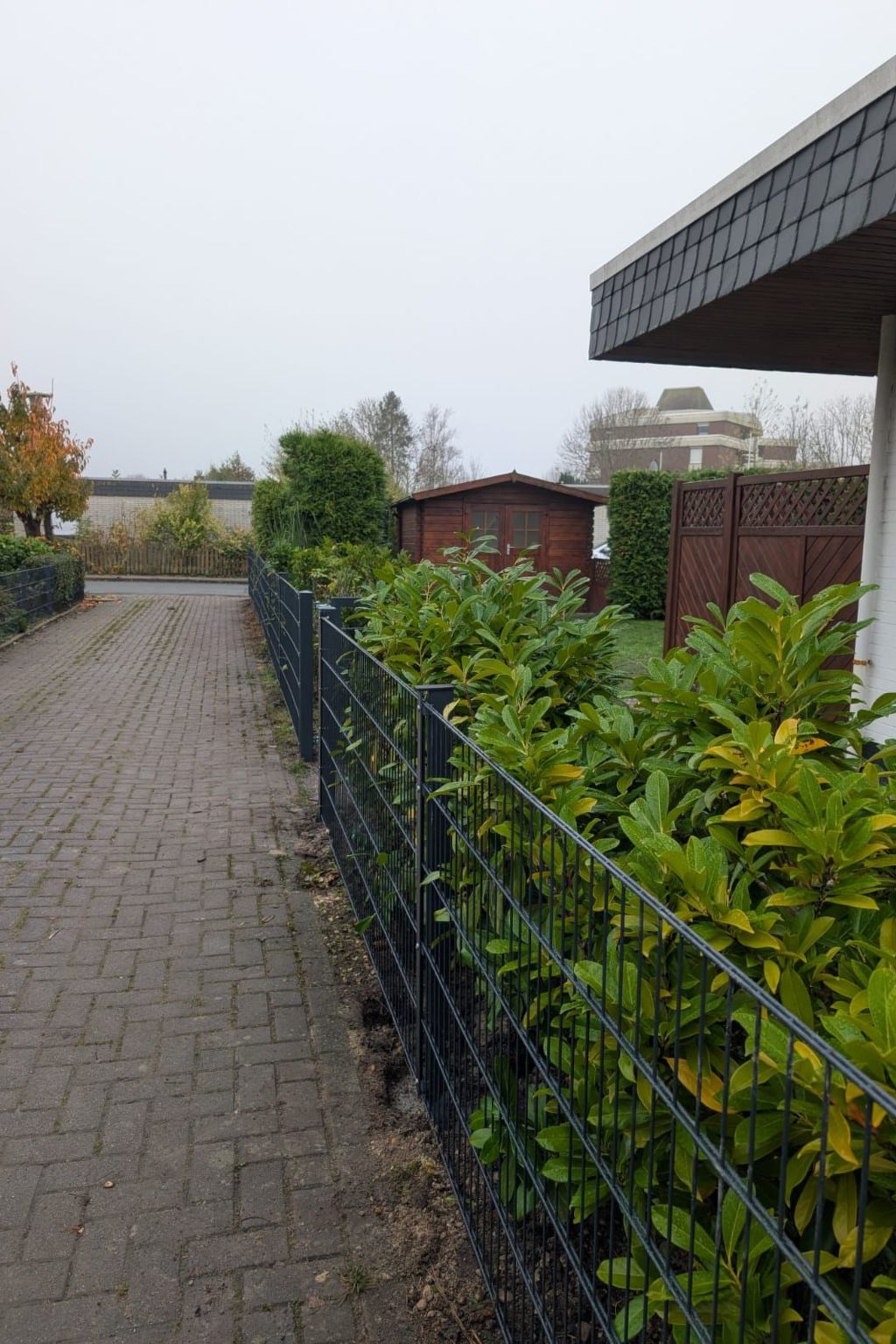 LouJa-Image-tags.info