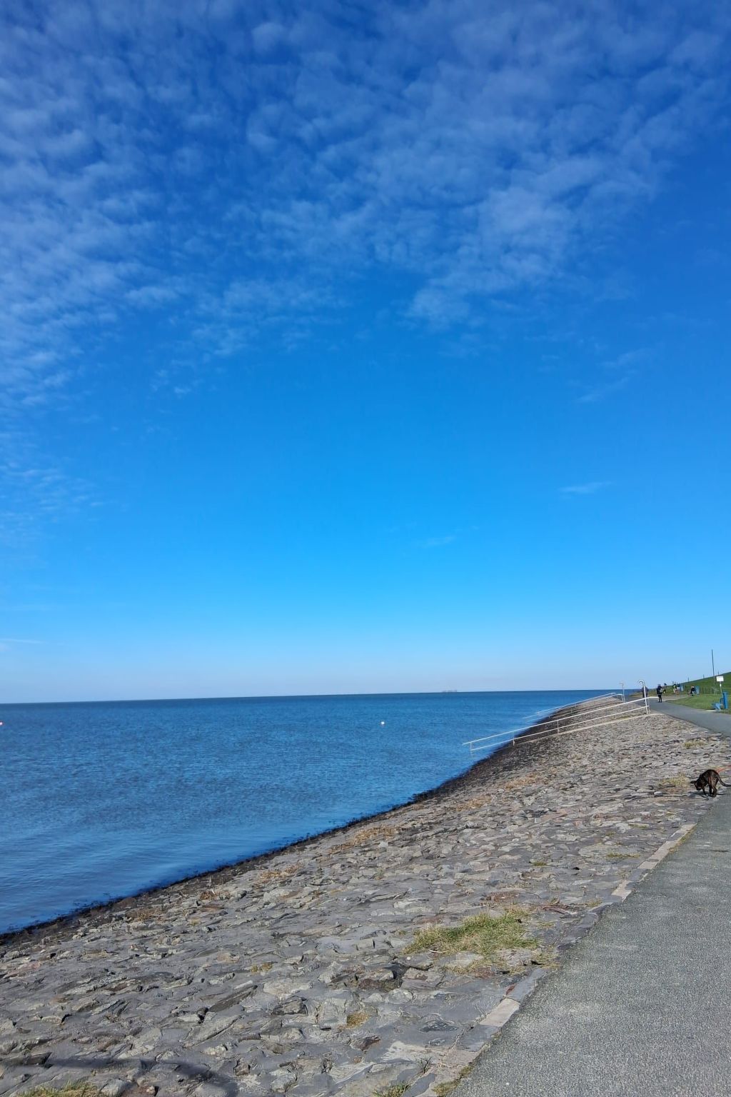 LouJa-Image-tags.info