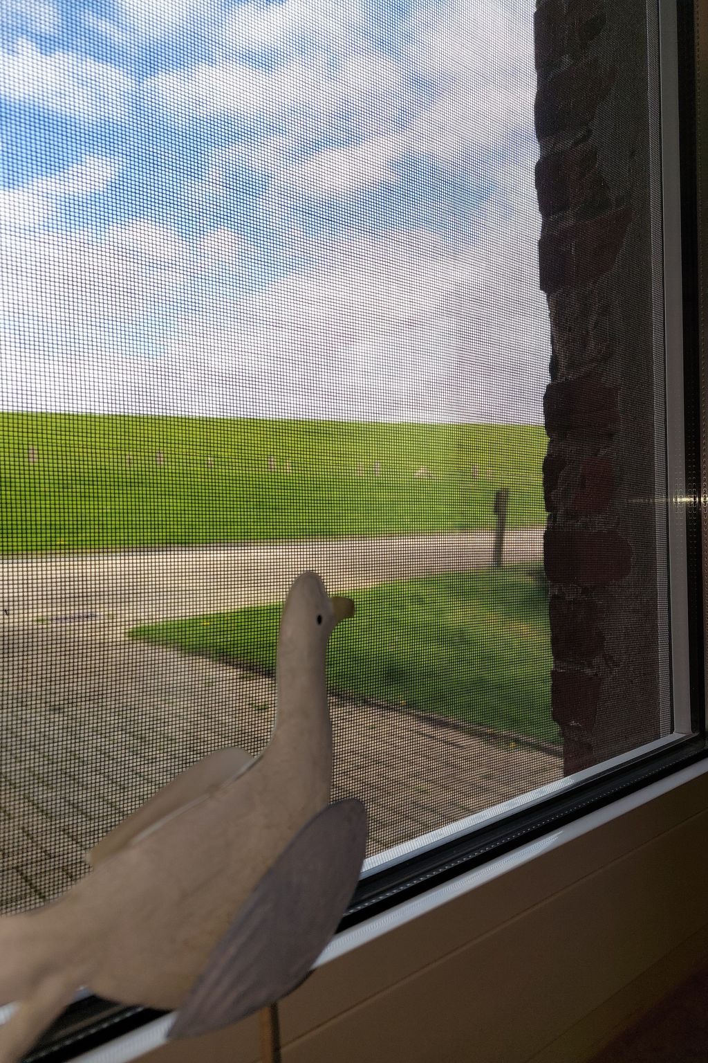 Wattwurm in Fedderwardersiel-Inside