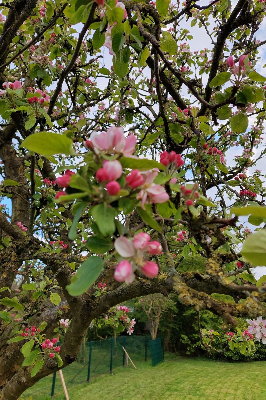 Wattwurm in Fedderwardersiel-Inside