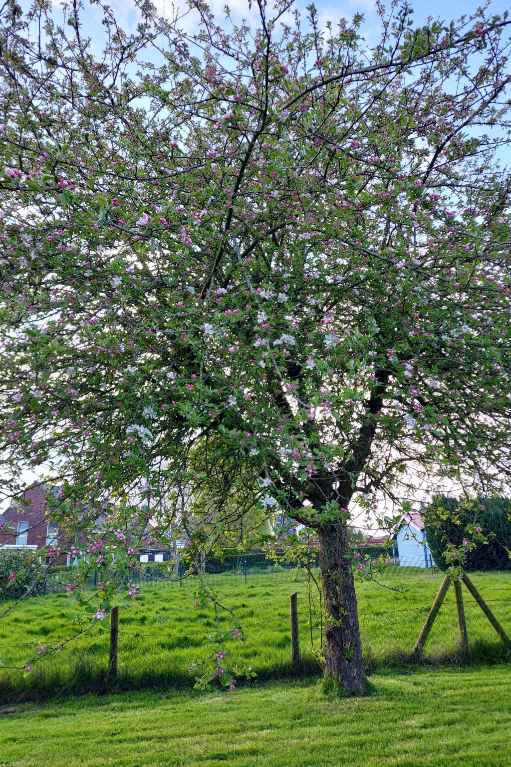 Wattwurm in Fedderwardersiel-Inside