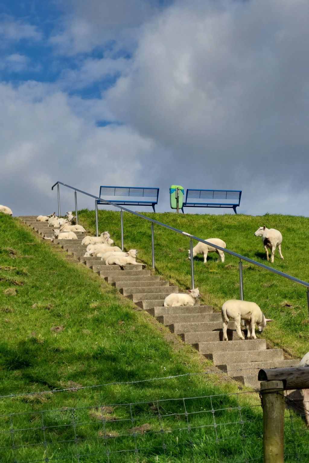 Wattwurm in Fedderwardersiel-Inside