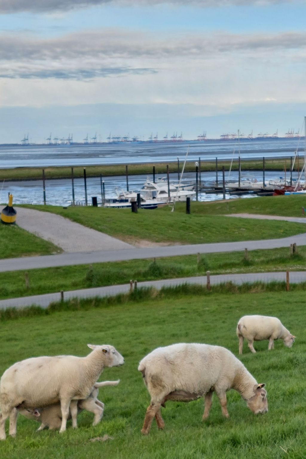 Kajüte in Fedderwardersiel-Inside