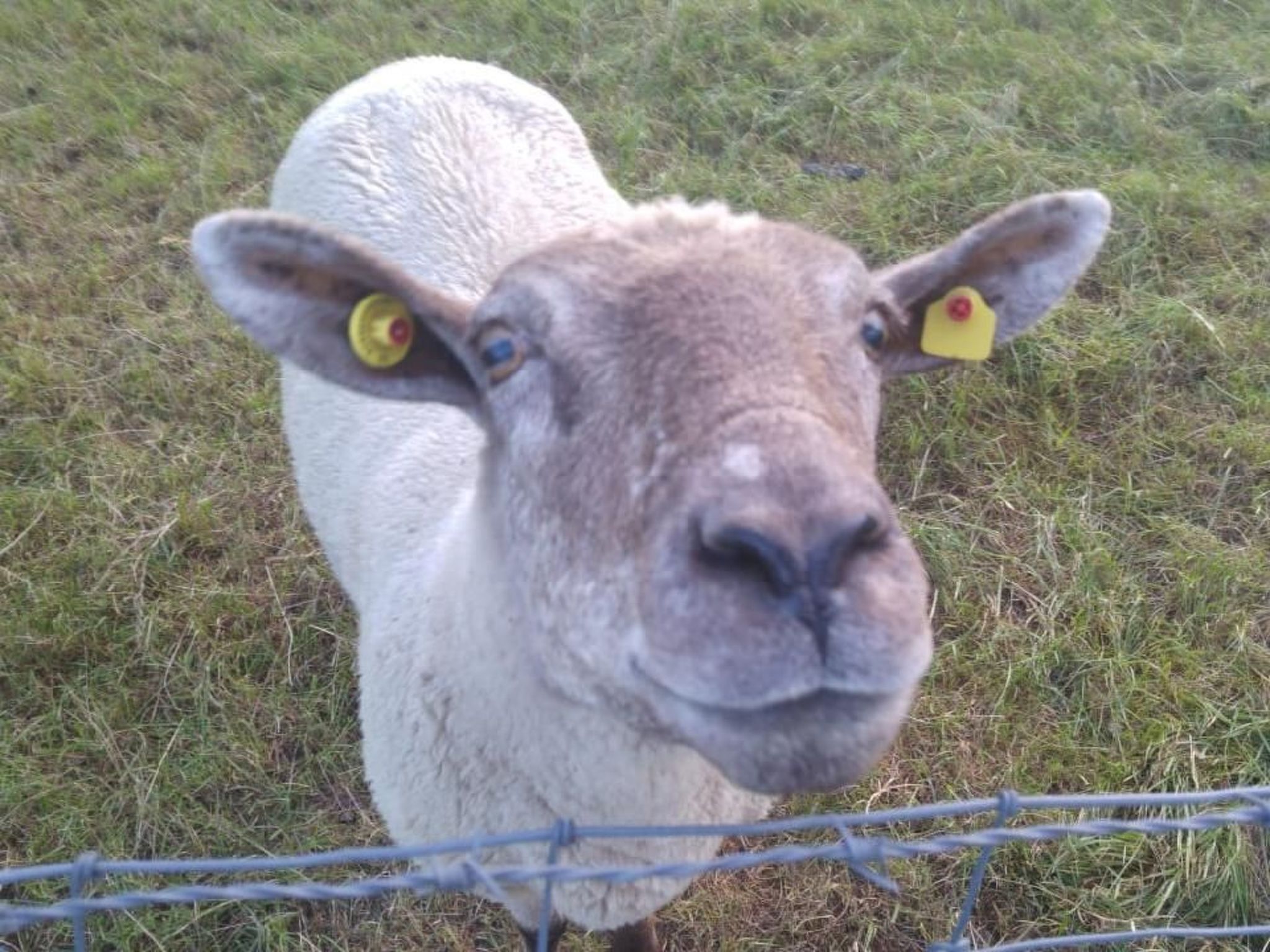 Nordseeliebe in Burhave-Inside