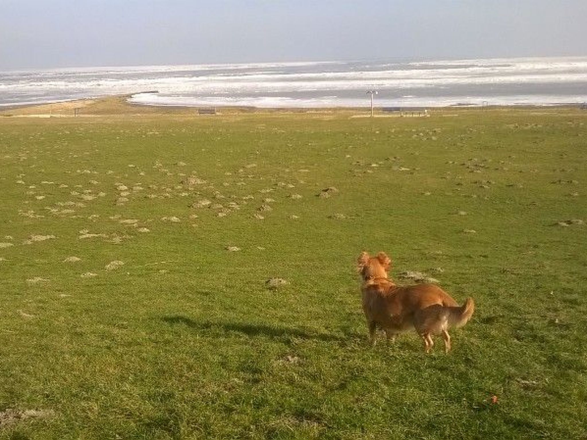 Wehnert-Image-tags.info