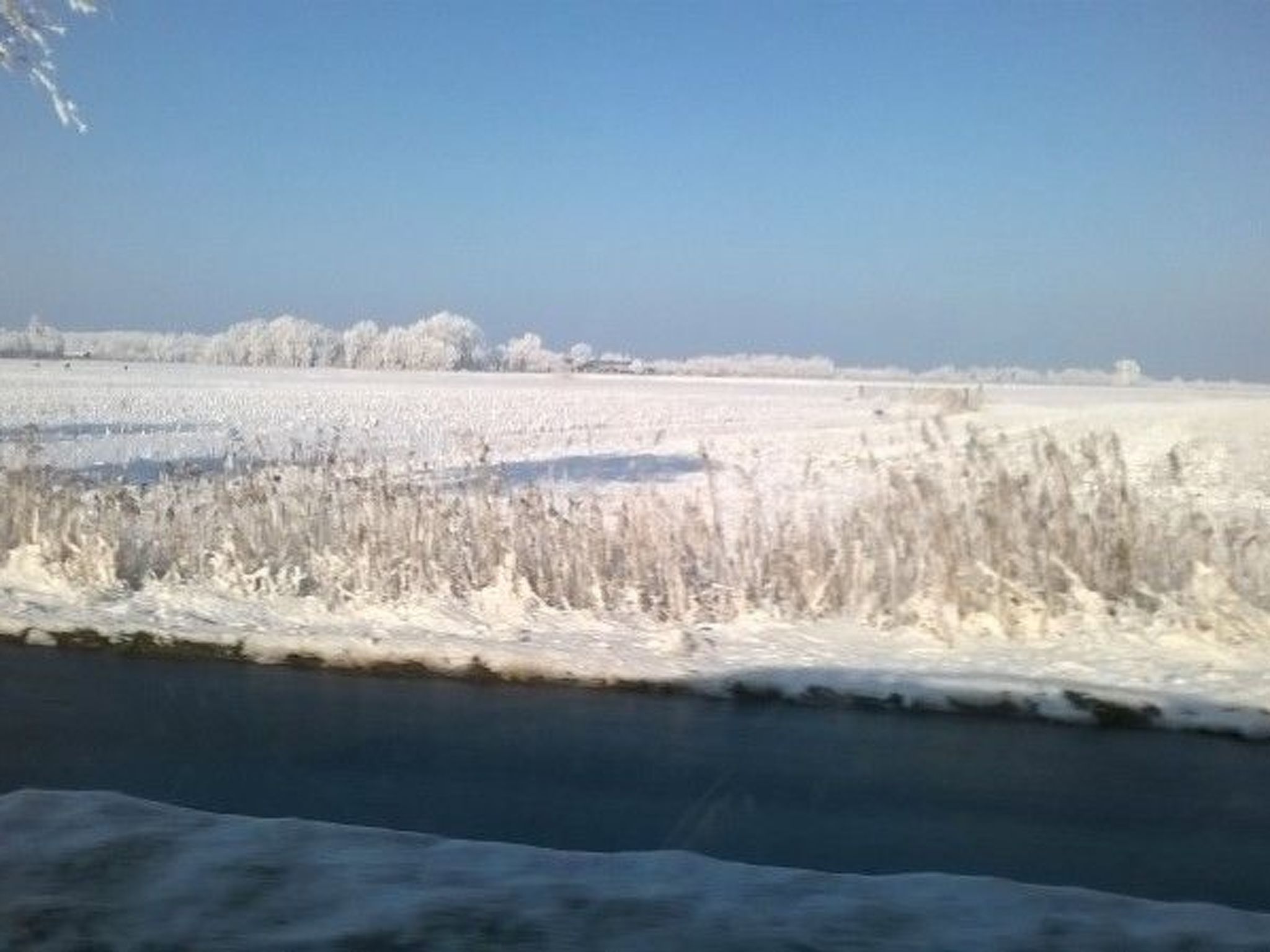 Wehnert-Image-tags.info