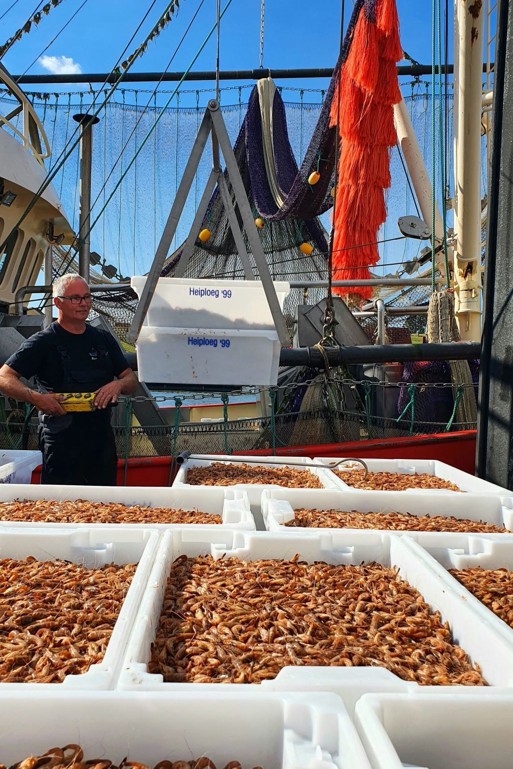 Marschenhuus-Image-tags.info