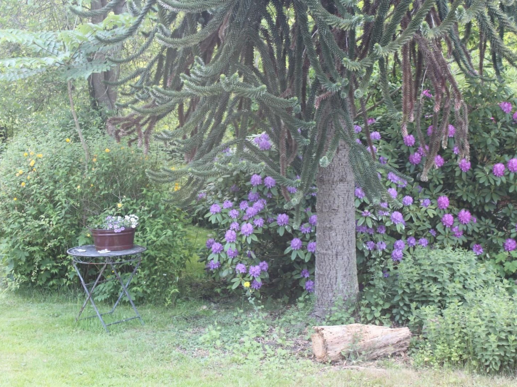 In Stollhamm mit Großem Garten-Drinnen