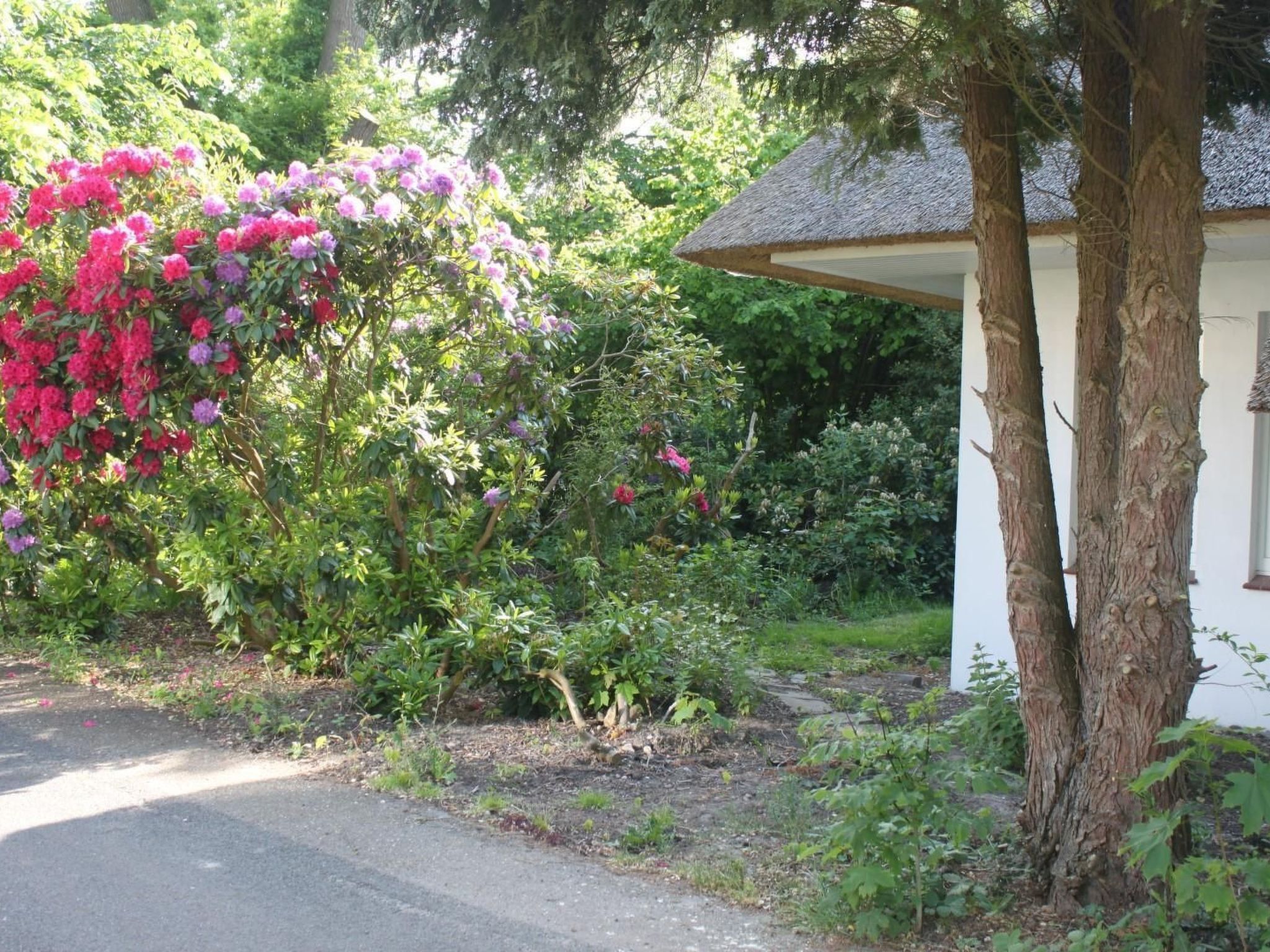 In Stollhamm mit Großem Garten-Drinnen